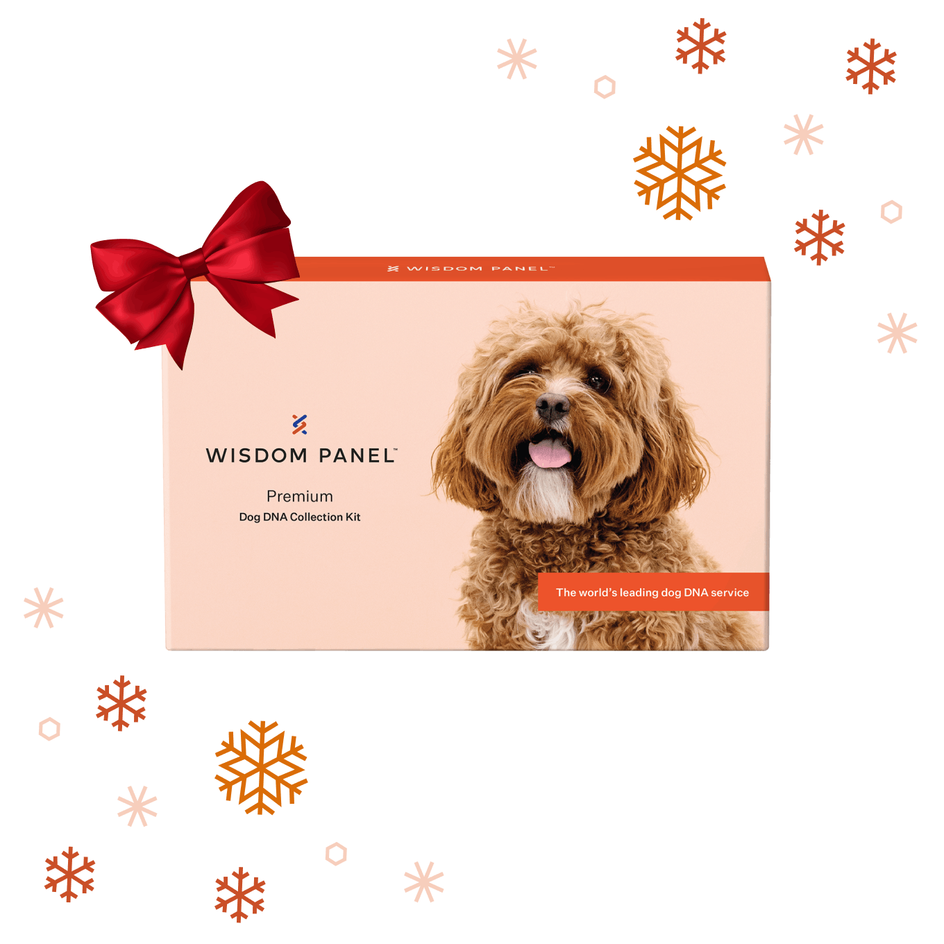 wisdom-panel-world-s-most-accurate-dog-dna-test-service