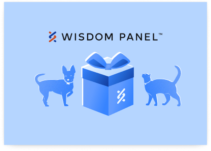 Wisdom Panel Giftcard