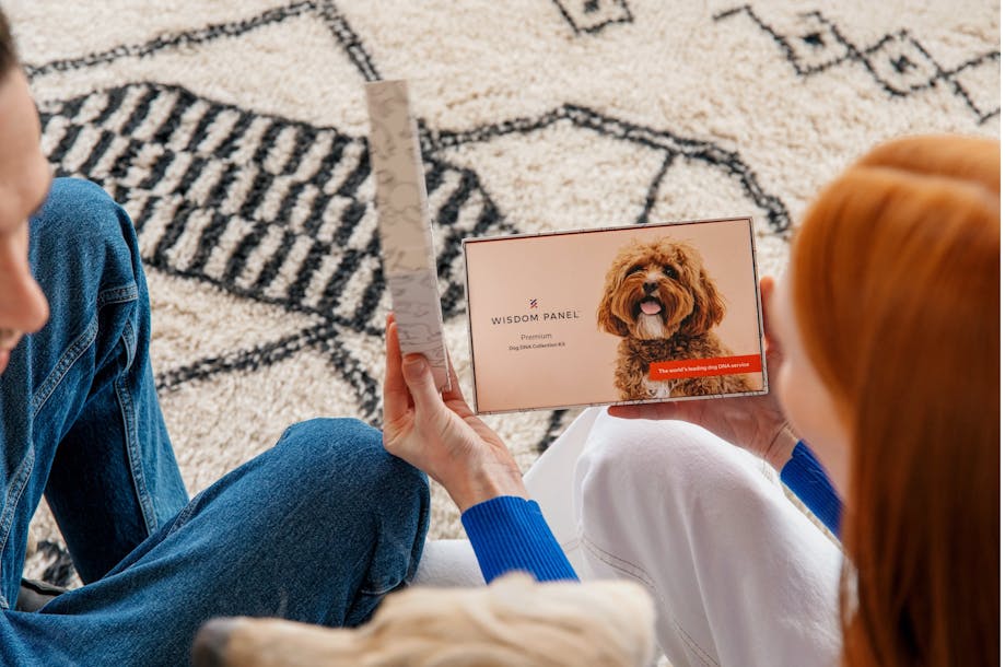 Pet parents unboxing a Wisdom Panel™ Premium dog DNA test