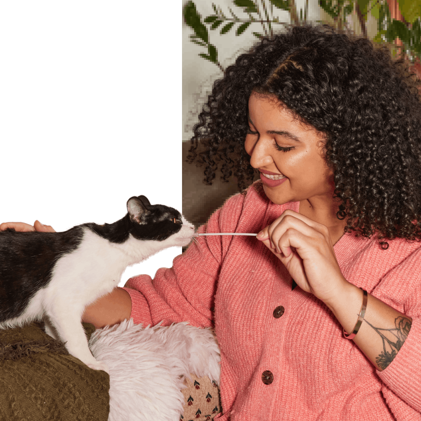 A woman swabbing a black and white cat at home