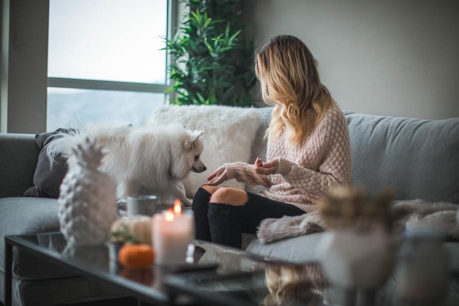 Woman feeding her small dog treats in her apartment