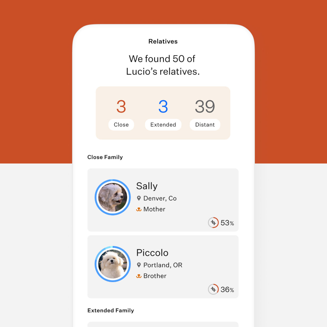 wisdom panel account