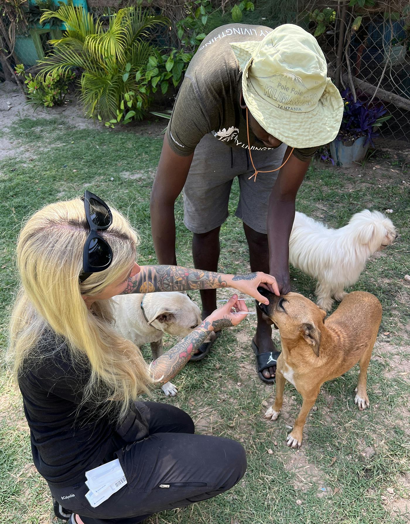 A woman swabs a small brown dog