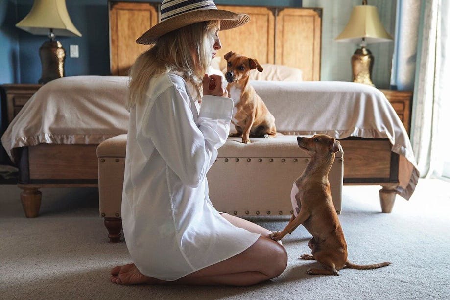 Woman on floor training her one of her dogs to sit while other dog watches