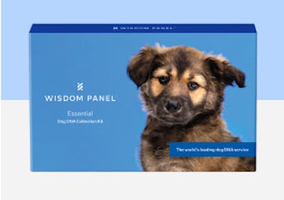Wisdom Panel Essential dog DNA test