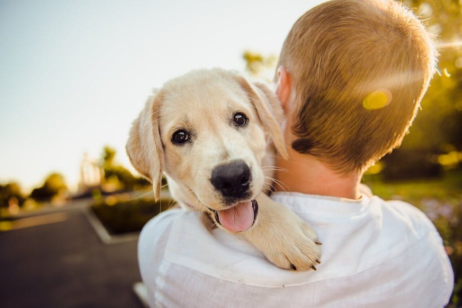 Man holding puppy