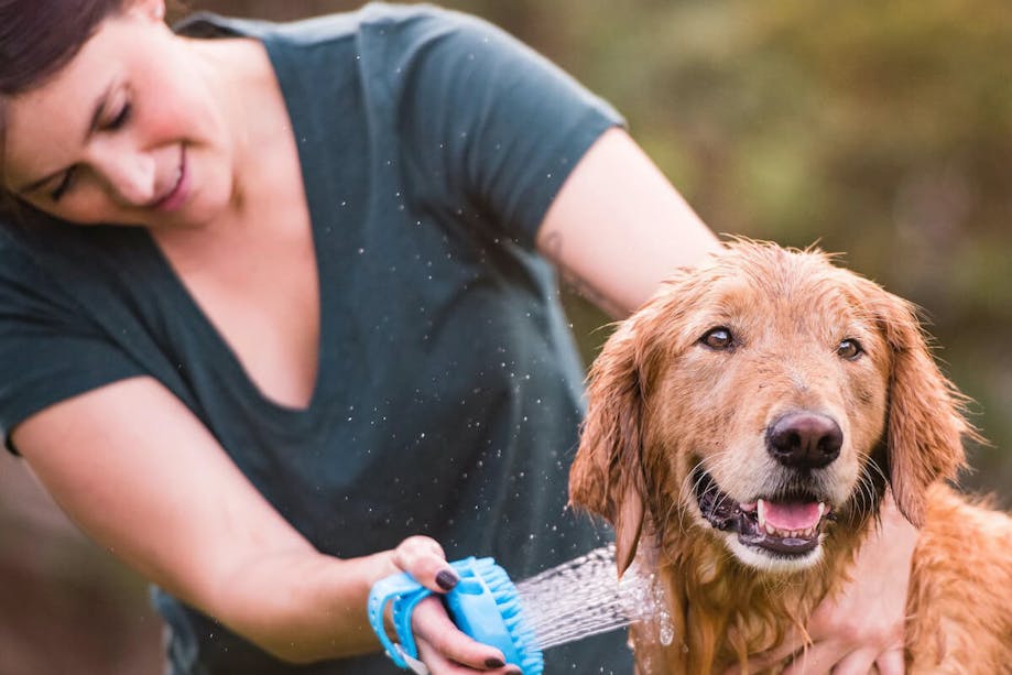 Woman washing her Golden Retriever with AquaPaw