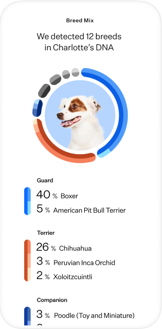 wisdom panel dna test kit