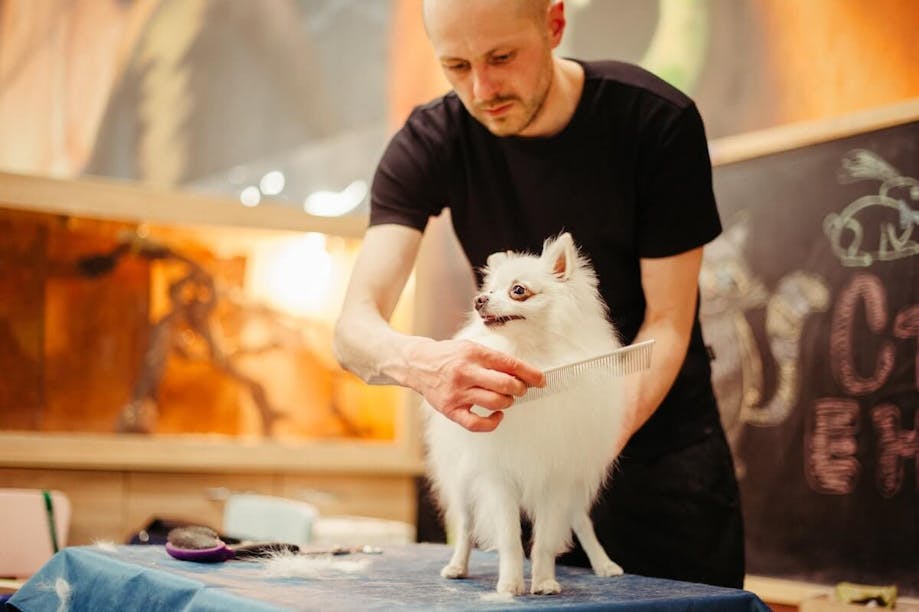 Man grooming his dog at home