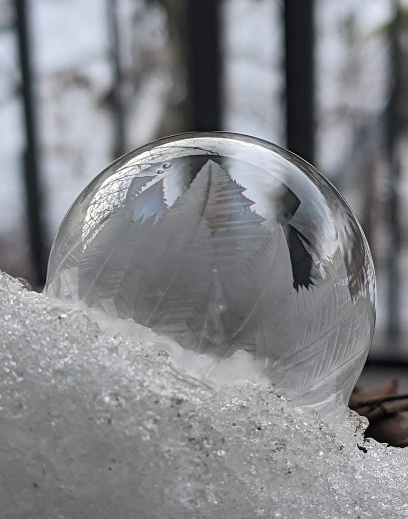 Eine gefrorene Seifenblase die zwischen Ästen hängt