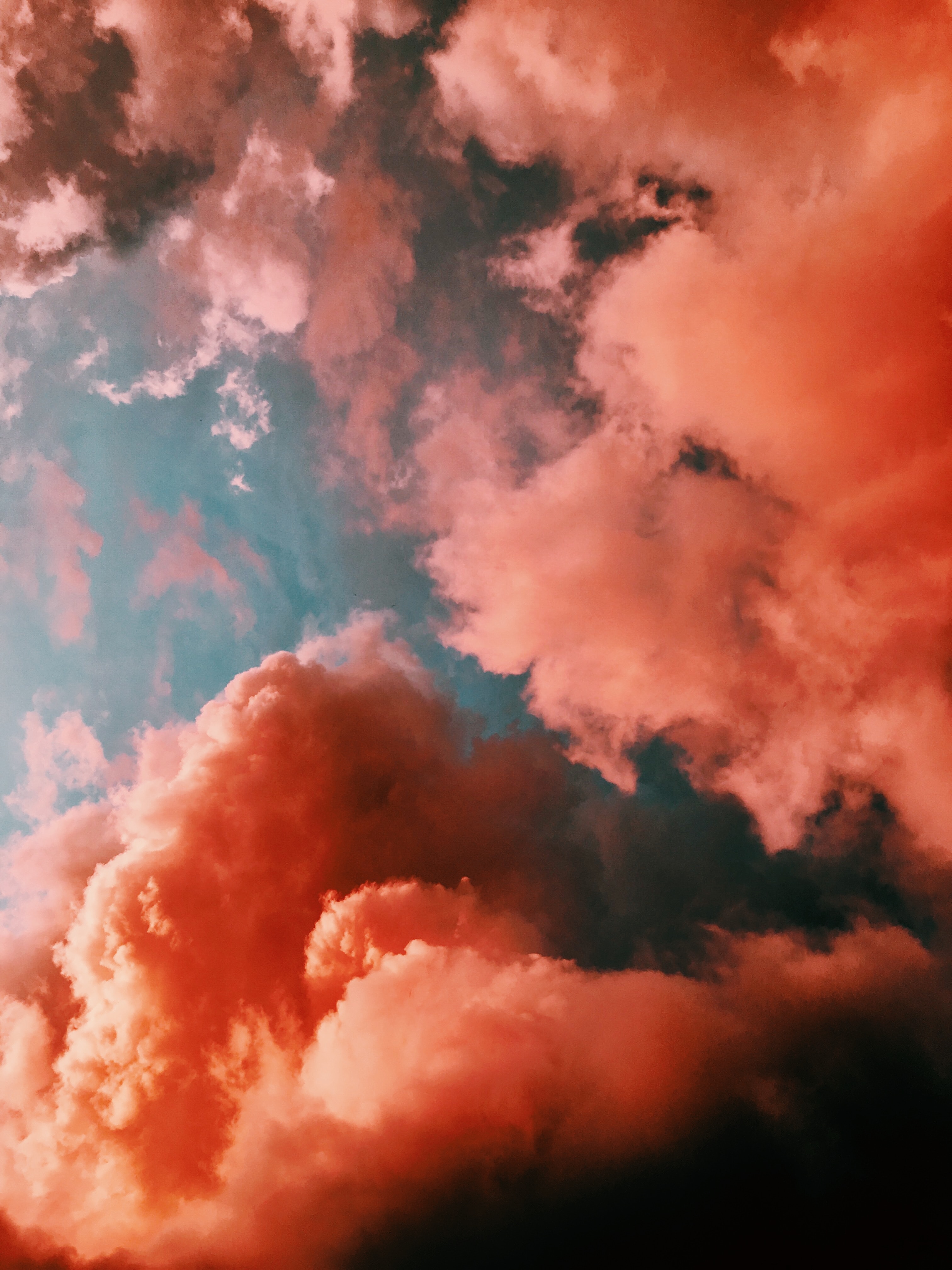 Pink clouds in the sky