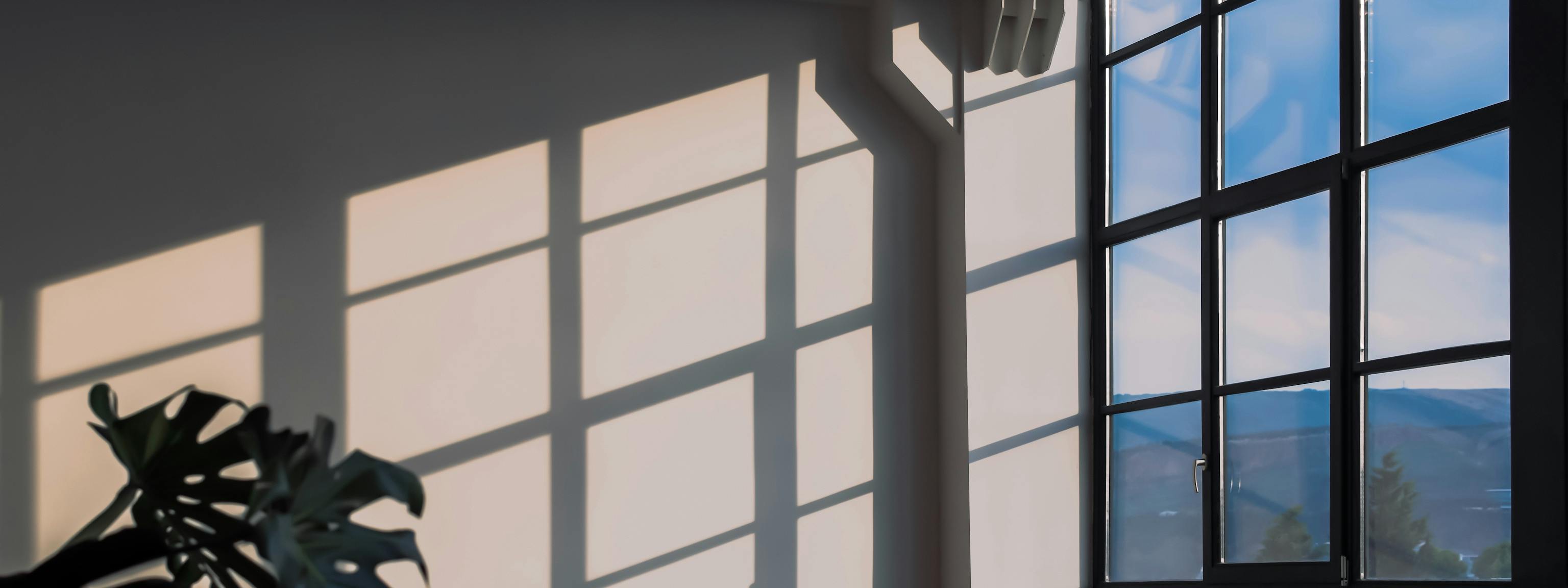 Crop of a renovated industrial building with a monstera plant in the corner. Sunlight enters through a large window, casting shadows on the wall