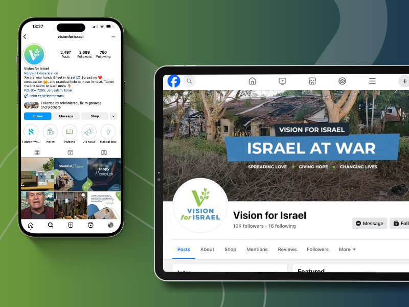 Vision for Israel image