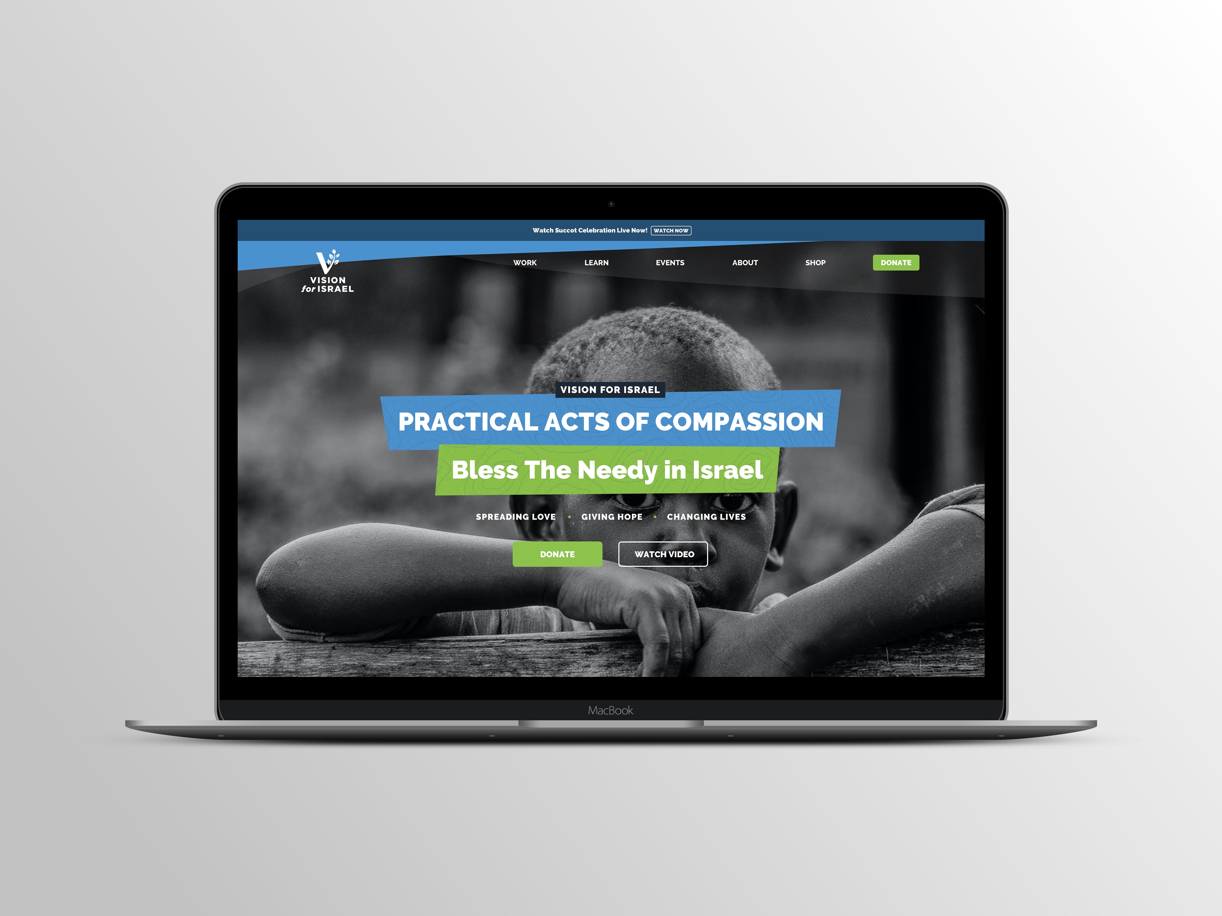 Vision for Israel  image