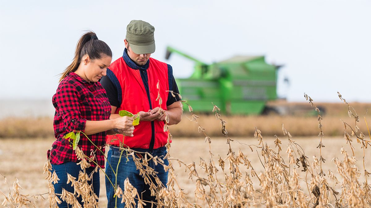 Formation Agricole  Le Guide Complet  WiziFarm