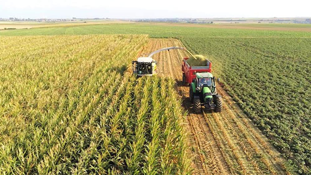 Mais Ensilage Et Secheresse 4 Questions Reponses Wizifarm Mais Ensilage Et Secheresse 4 Questions Reponses Wizifarm