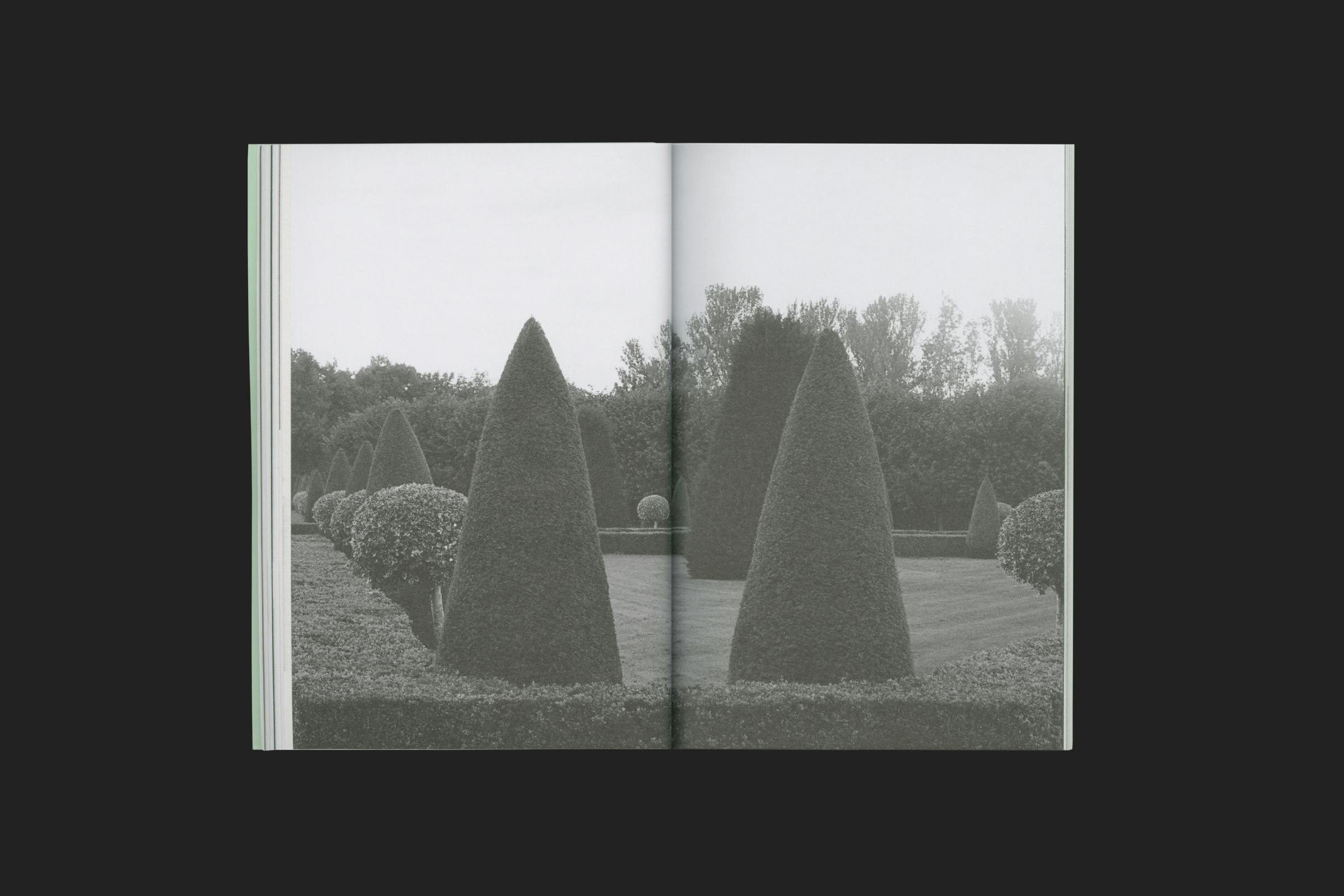 Irina Gheorghe, Backgarden Trilogy, Design by Wolfe Hall