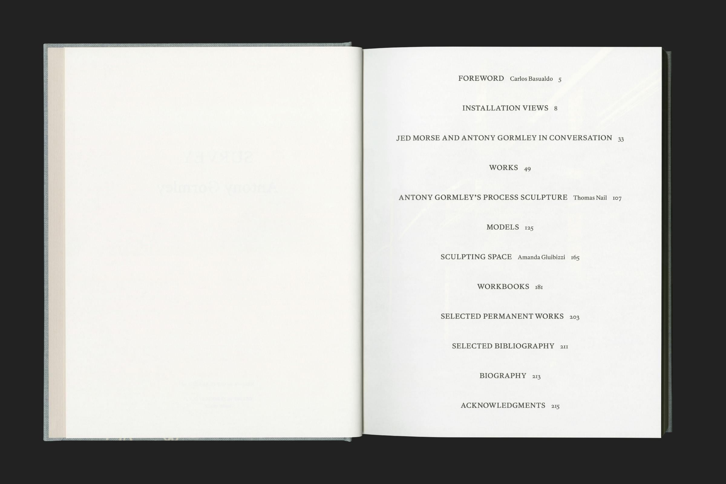Antony Gormley, Sculpture, Survey, Design by Wolfe Hall