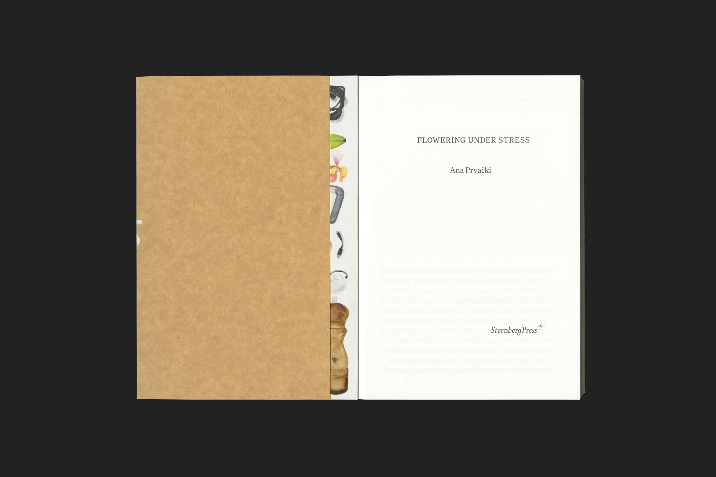 Ana Prvački, Flowering Under Stress, Zadie Smith, Sternberg Press, Design by Wolfe Hall