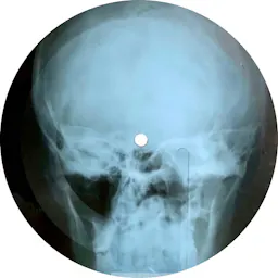 Women in Vinyl Glossary of Terms