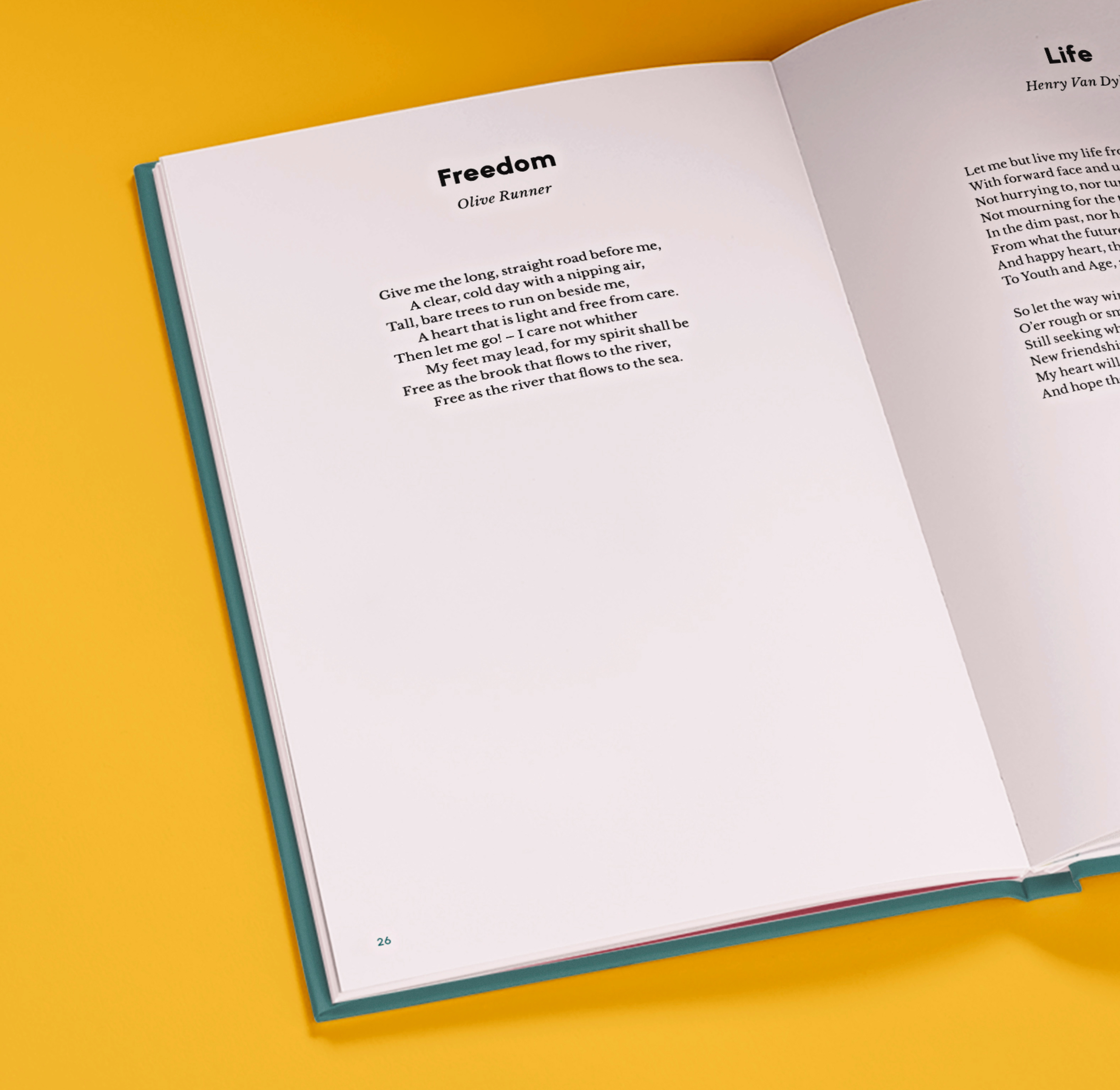 Carousel thumbail #3