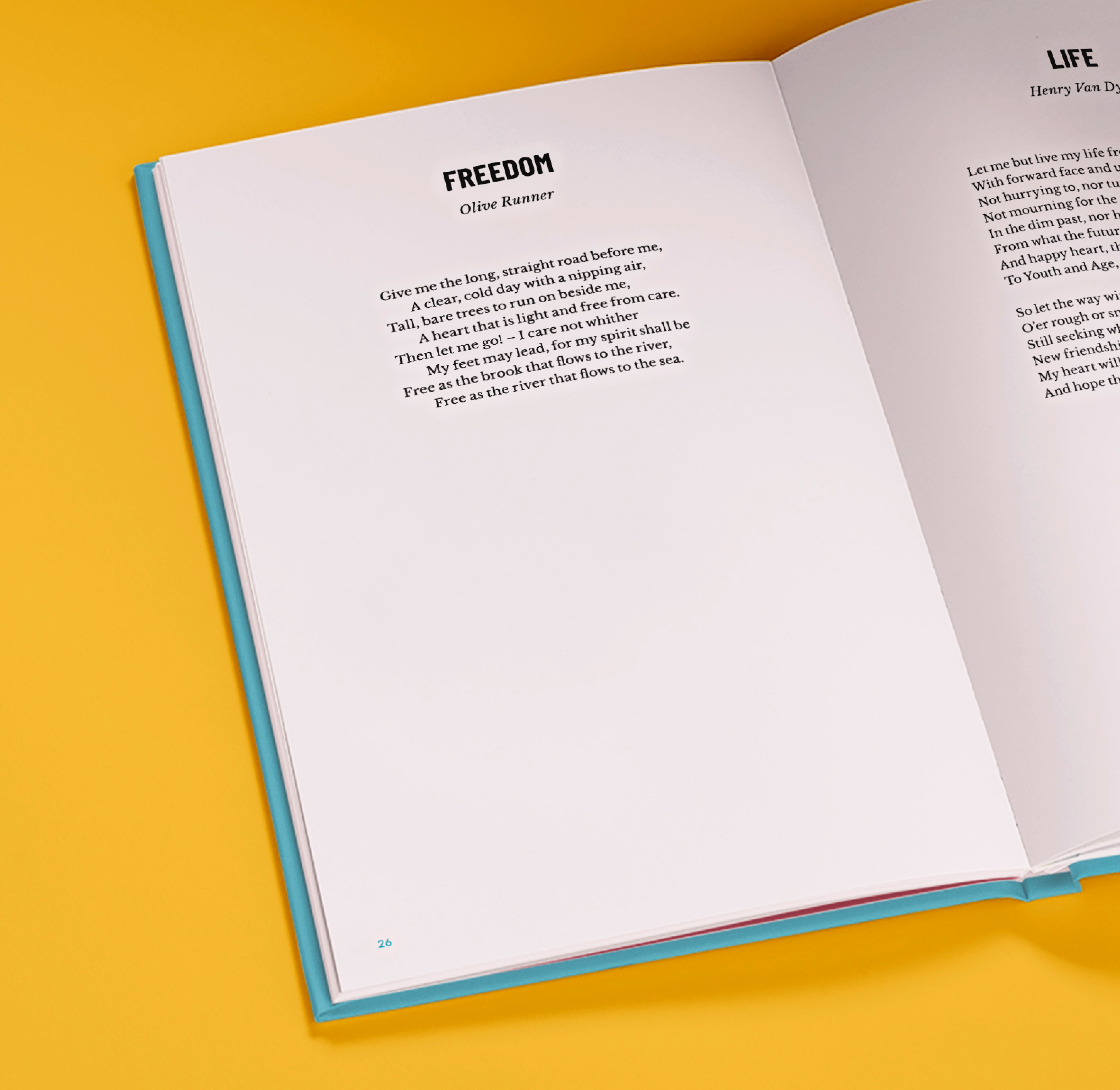 Carousel thumbail #3