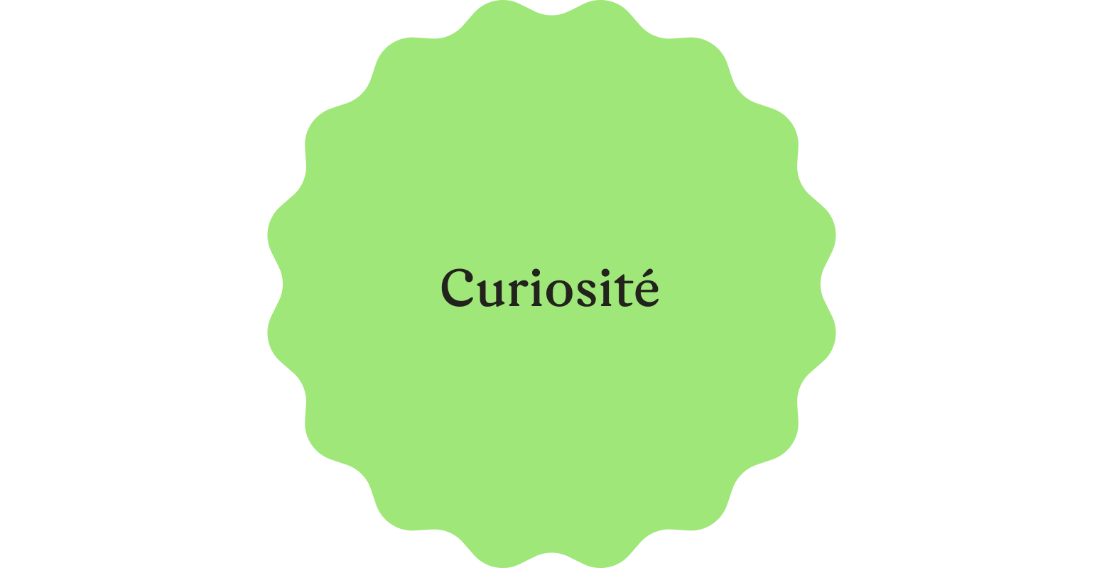 Curiosité