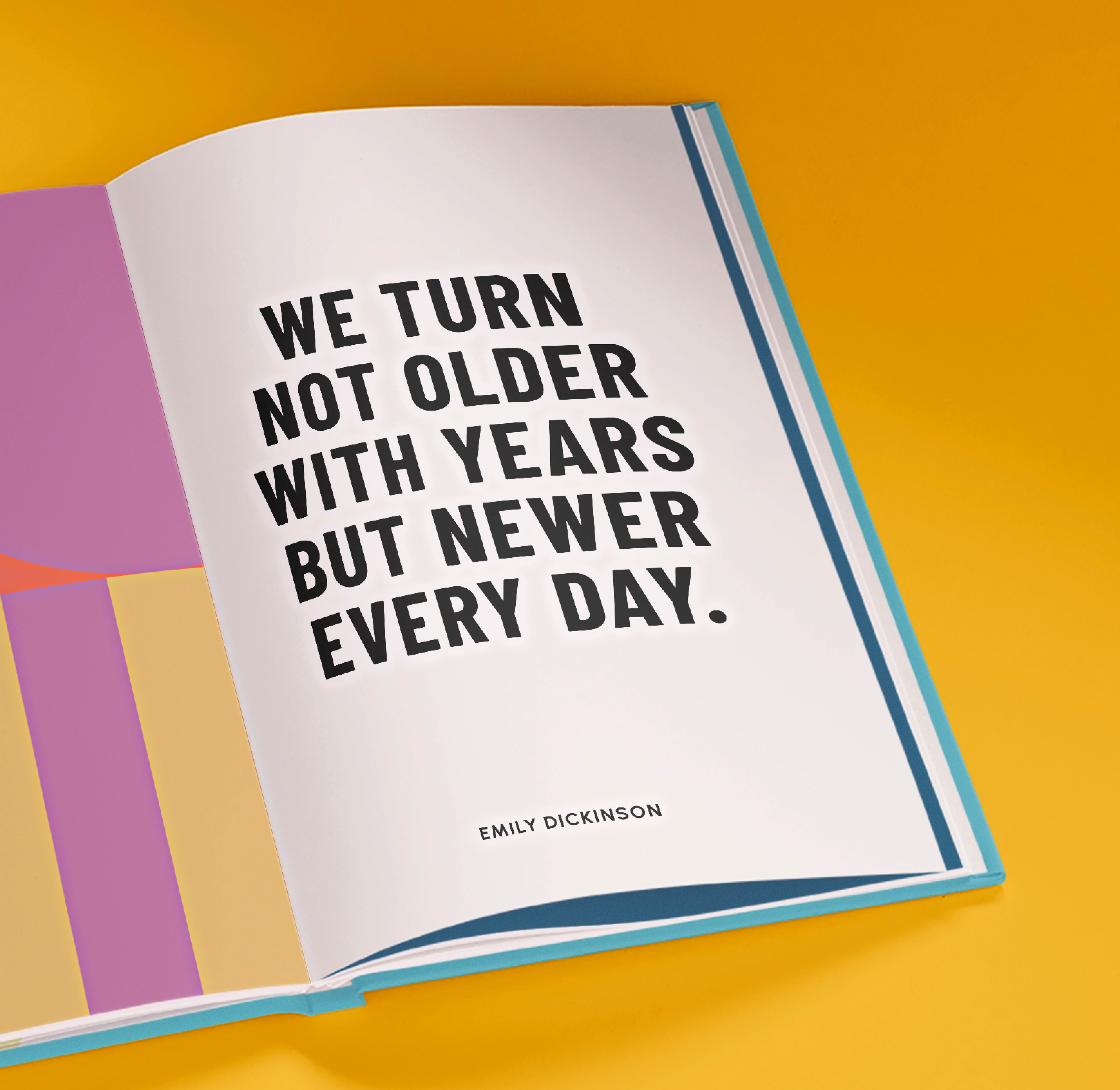 Carousel thumbail #5