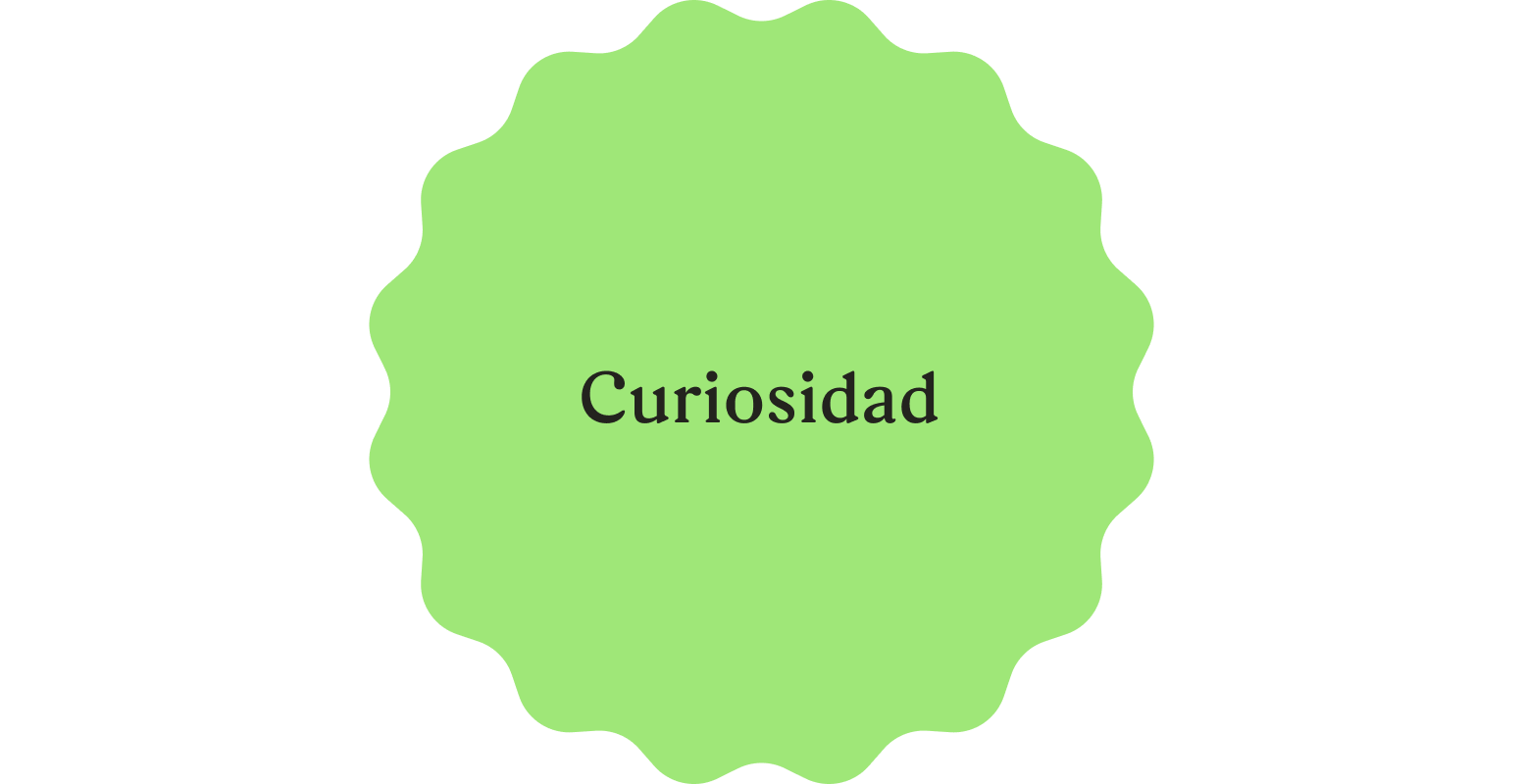 Curiosidad