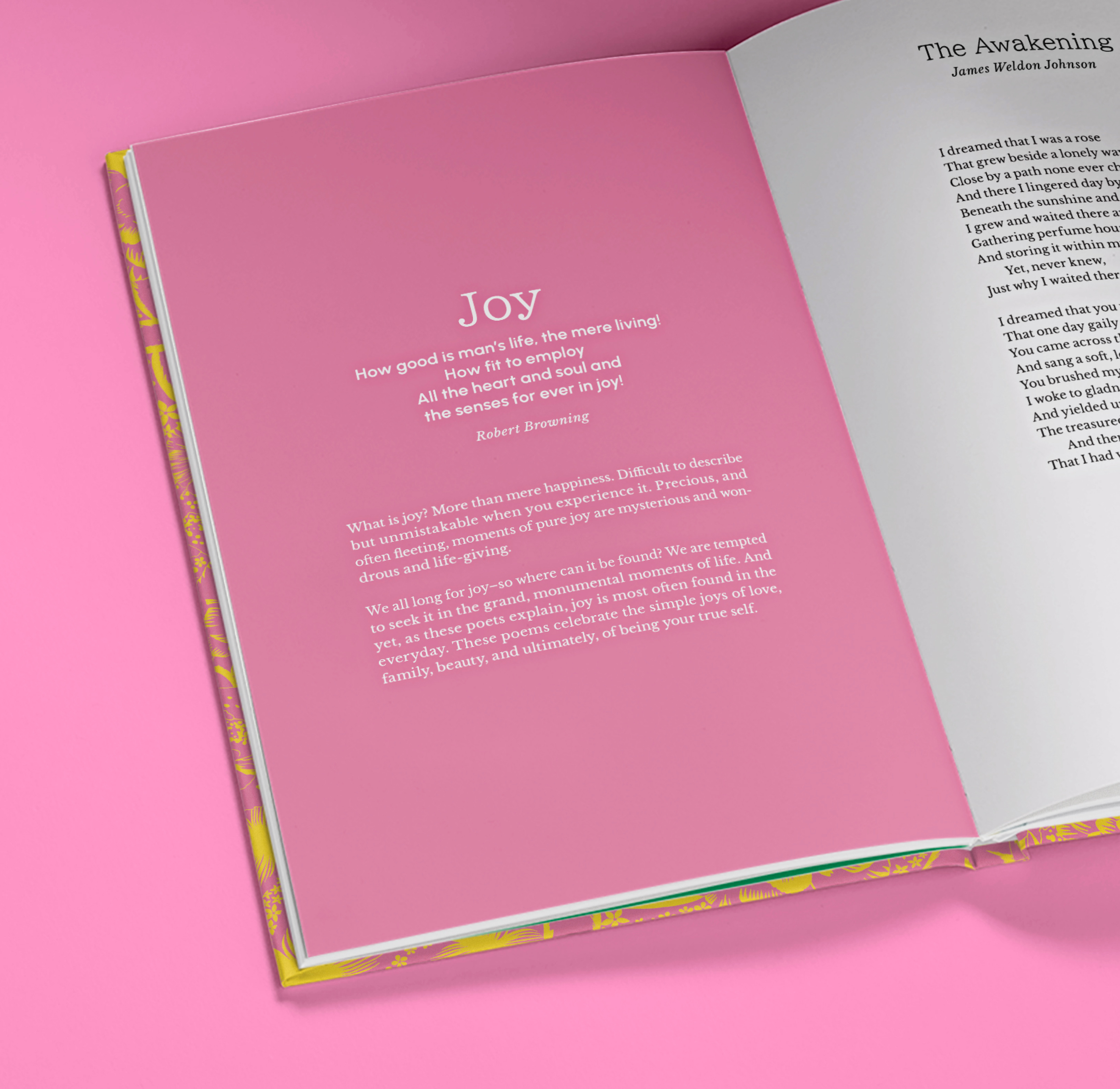 Carousel thumbail #5