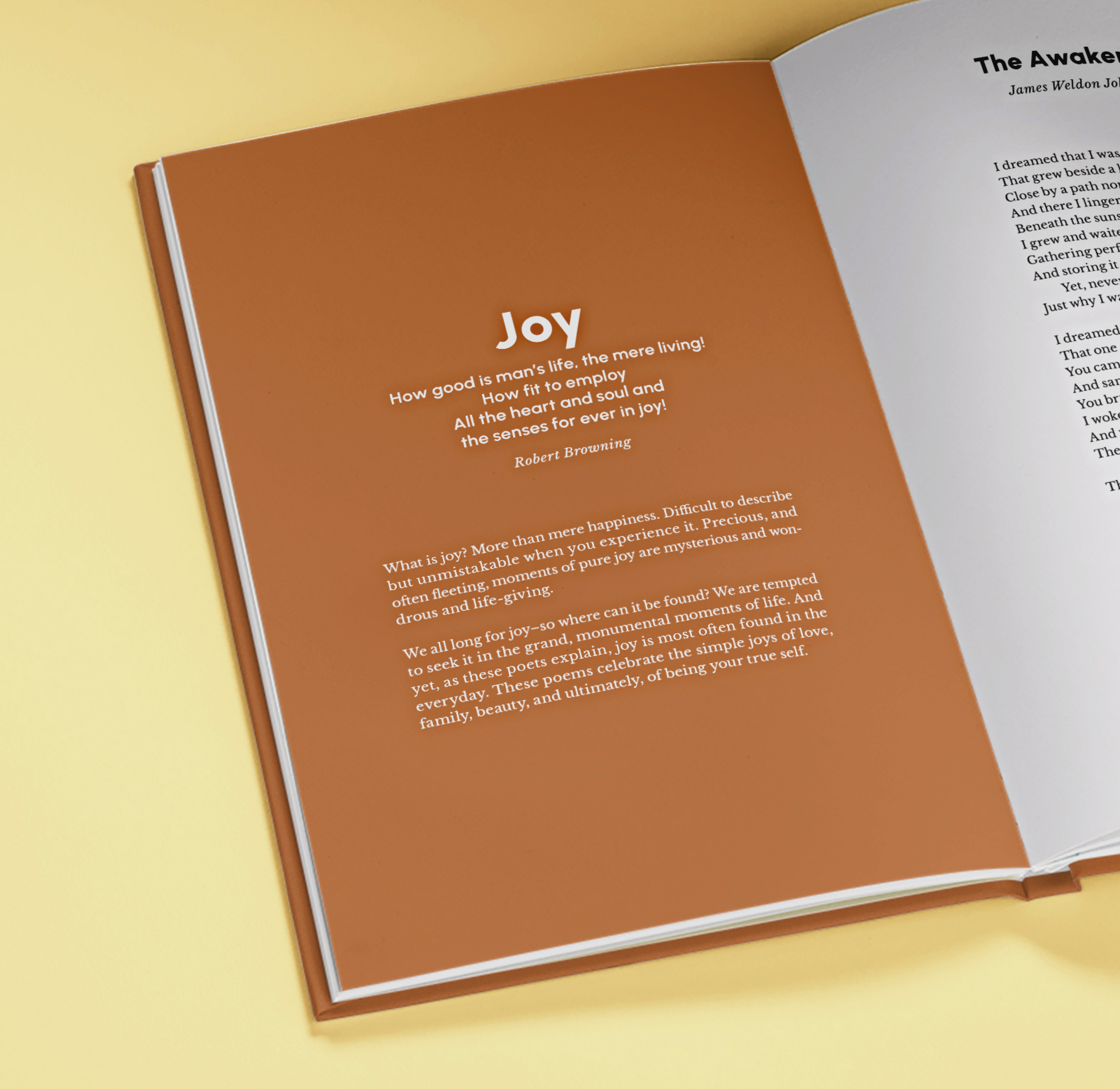 Carousel thumbail #2