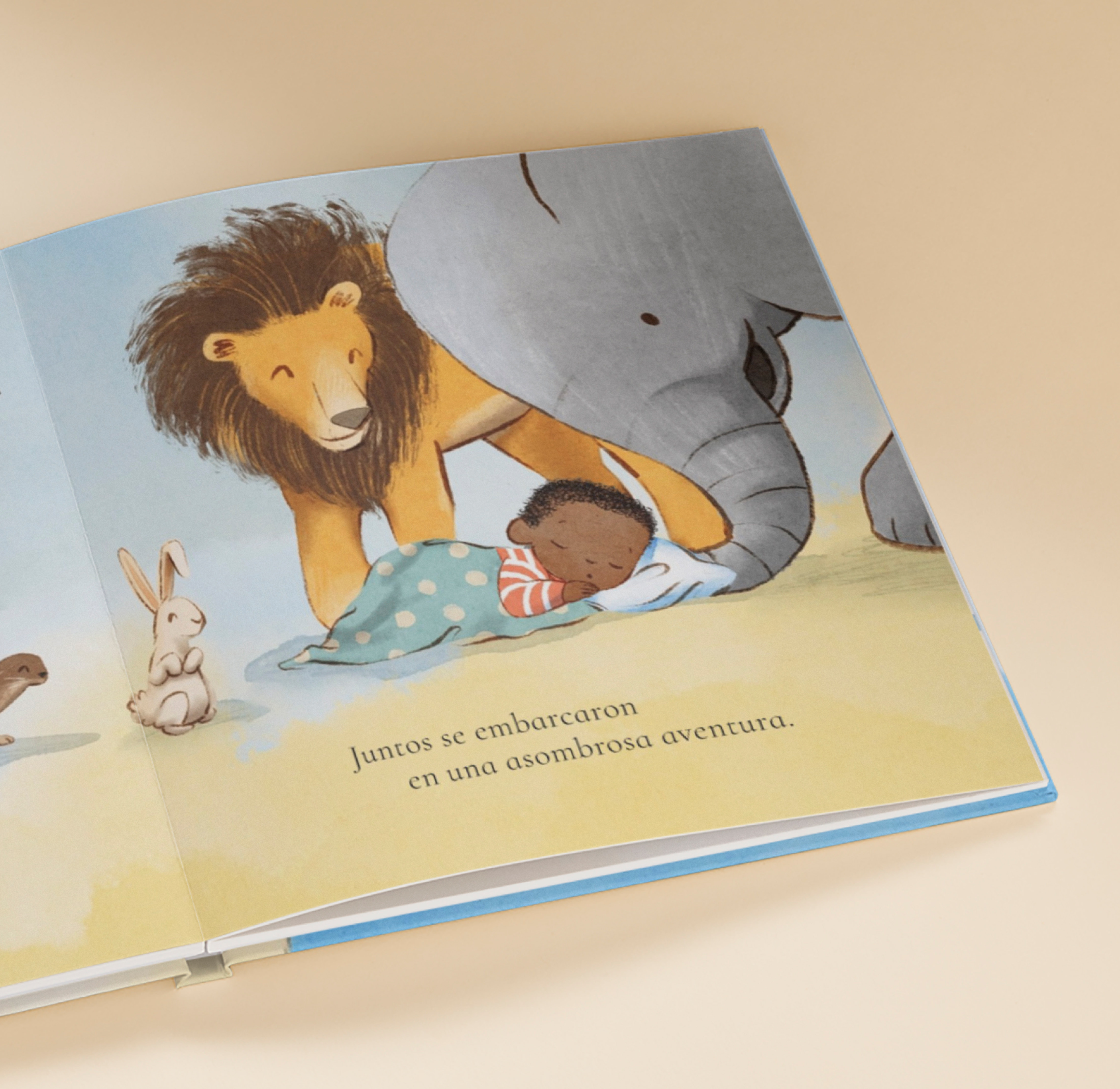 Carousel thumbail #5