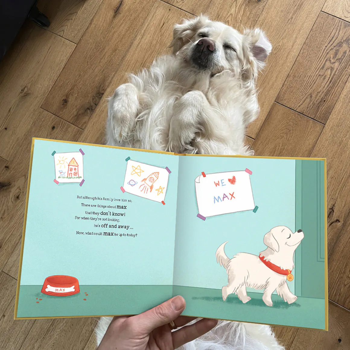 dog lying behind an opened book to see personalisation resemblance