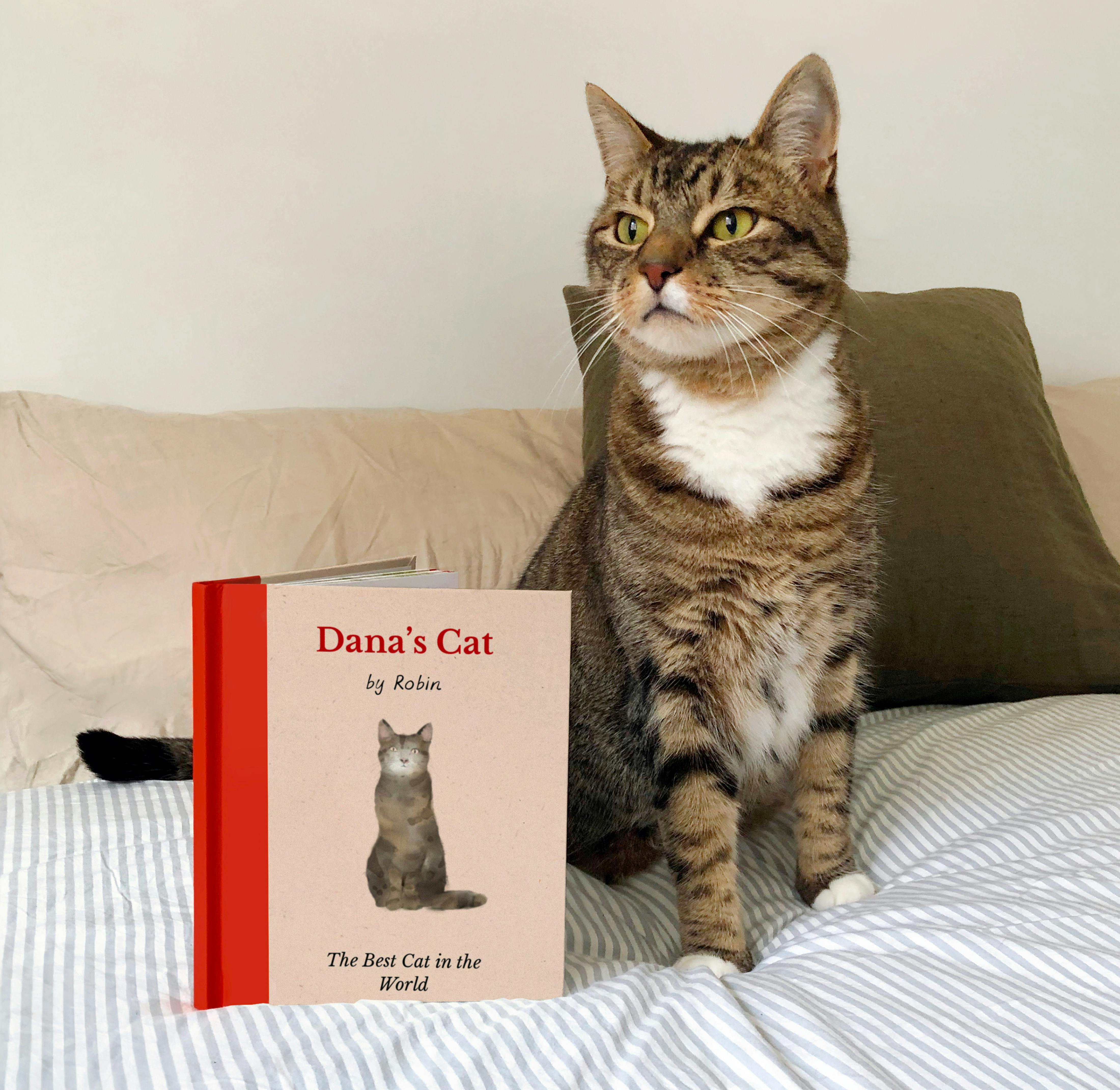 A cat with a copy of a personalised book