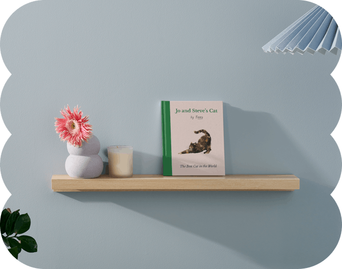 Cat book on the shelf
