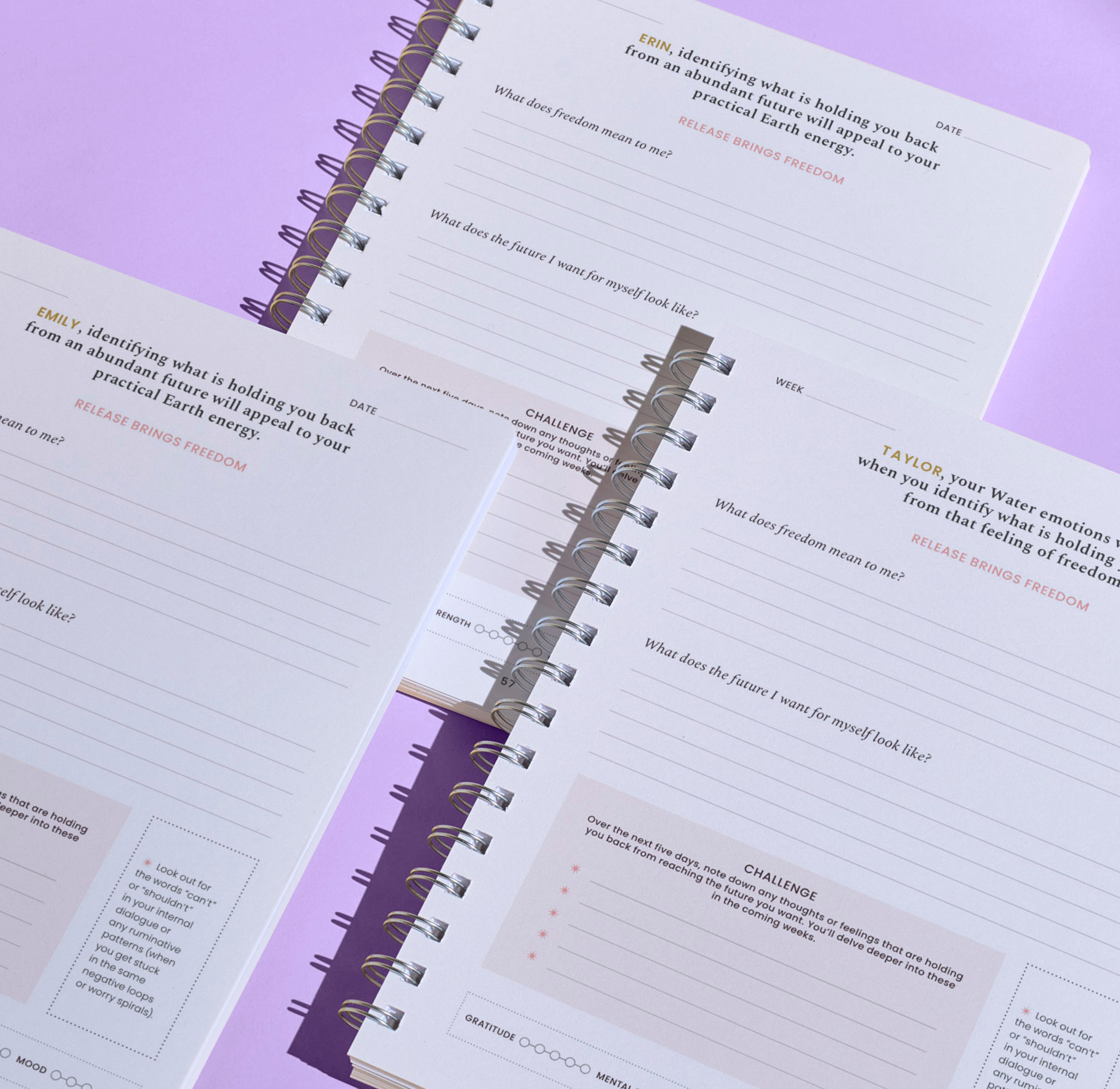 Carousel thumbail #3