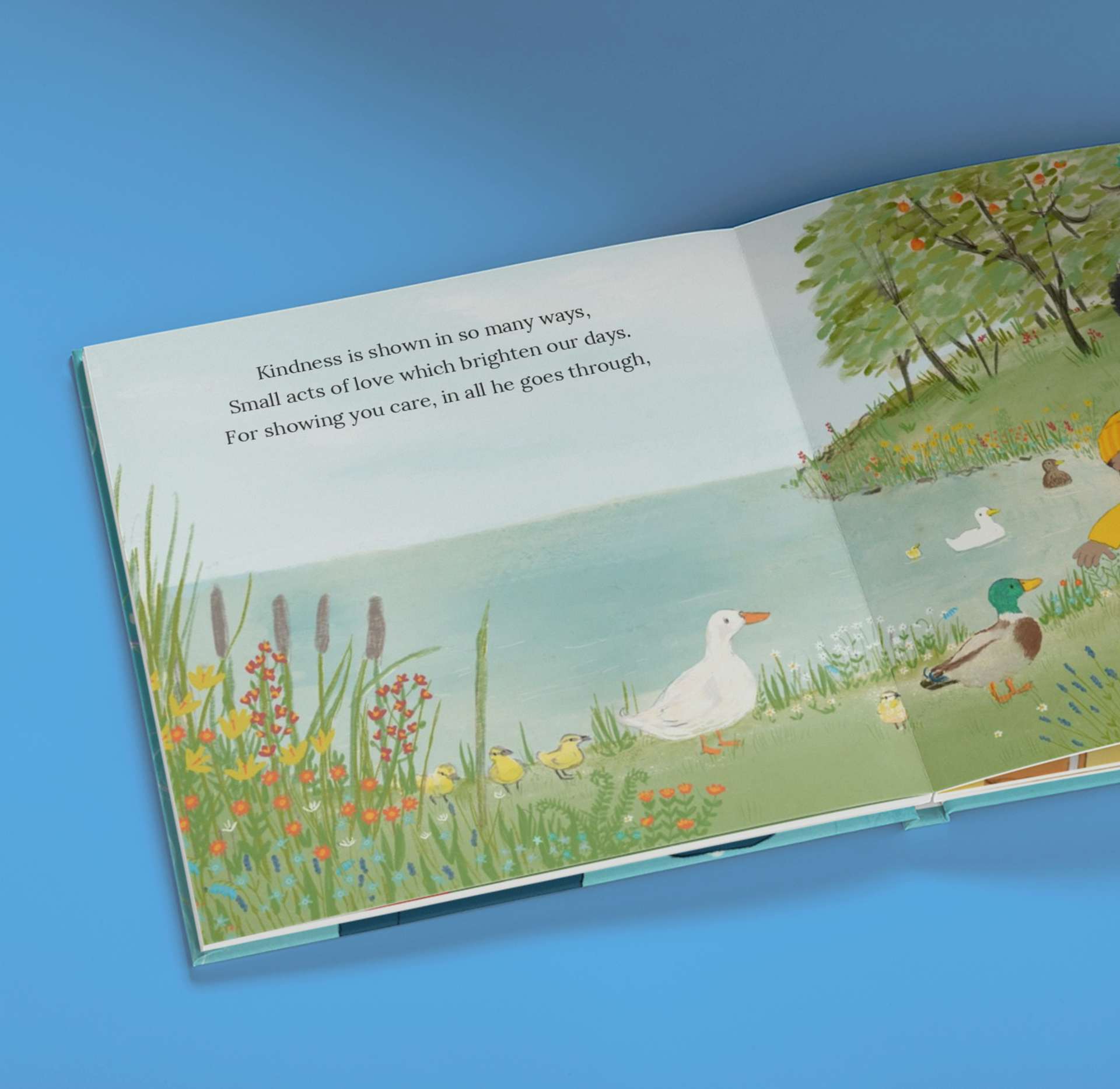 page spread of book - ducks