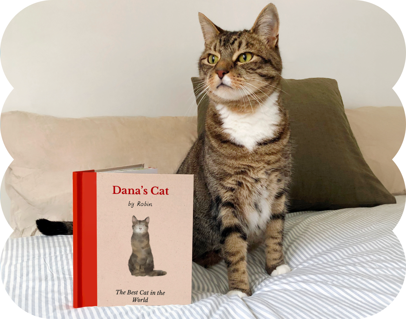 Best Cat Ever book