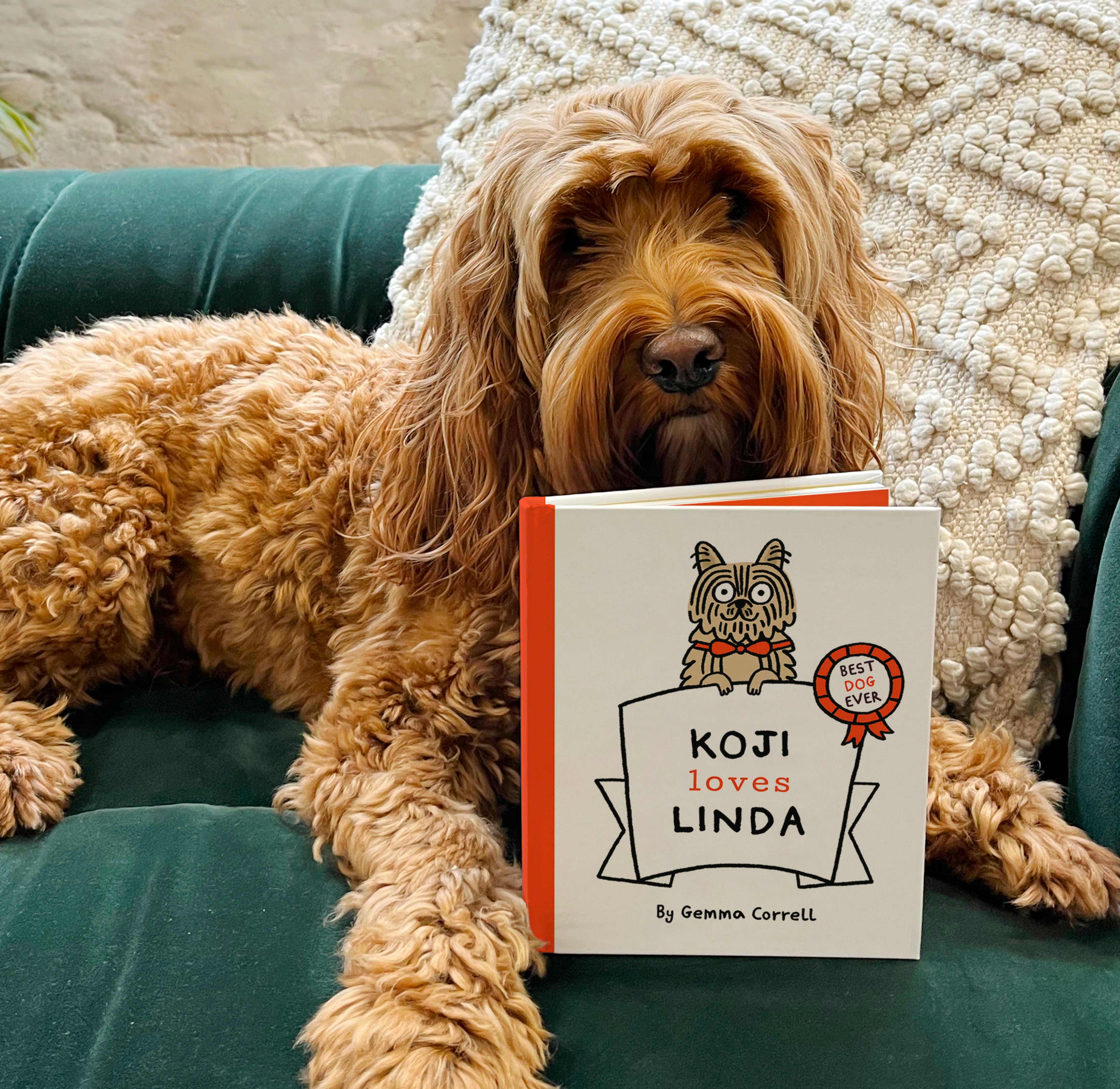 Dog with personalised book cover
