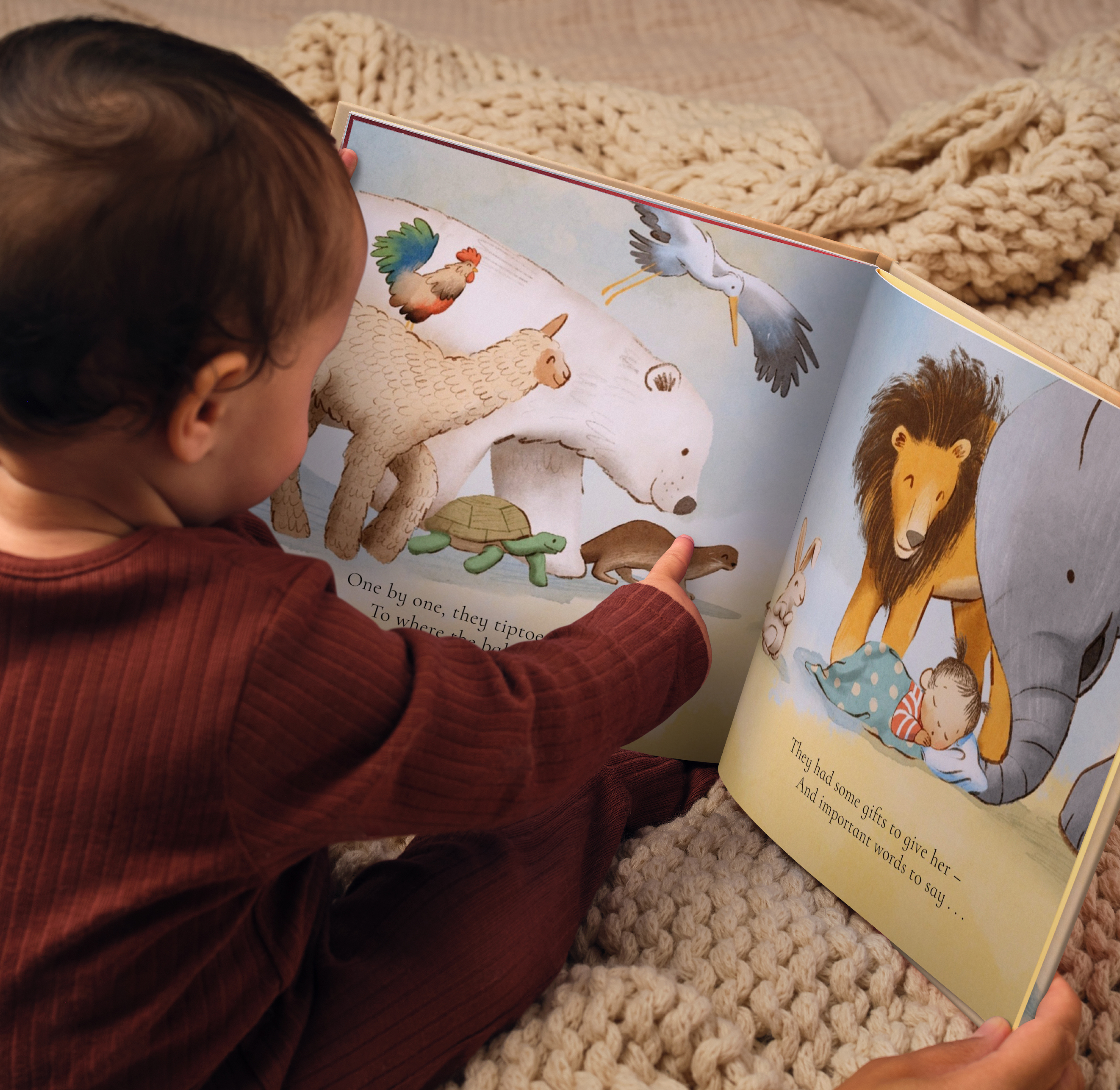 Carousel thumbail #6