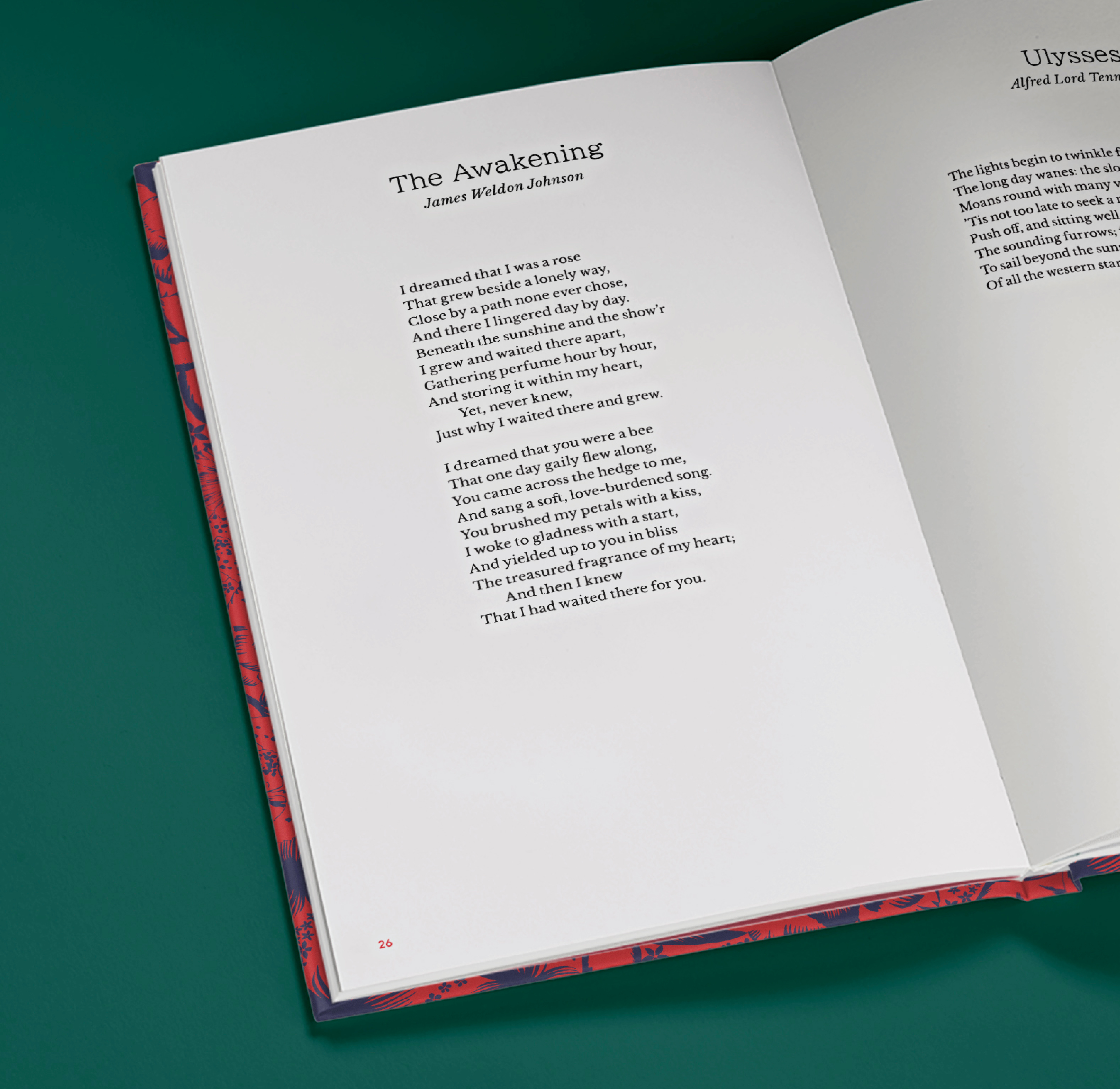 Carousel thumbail #3