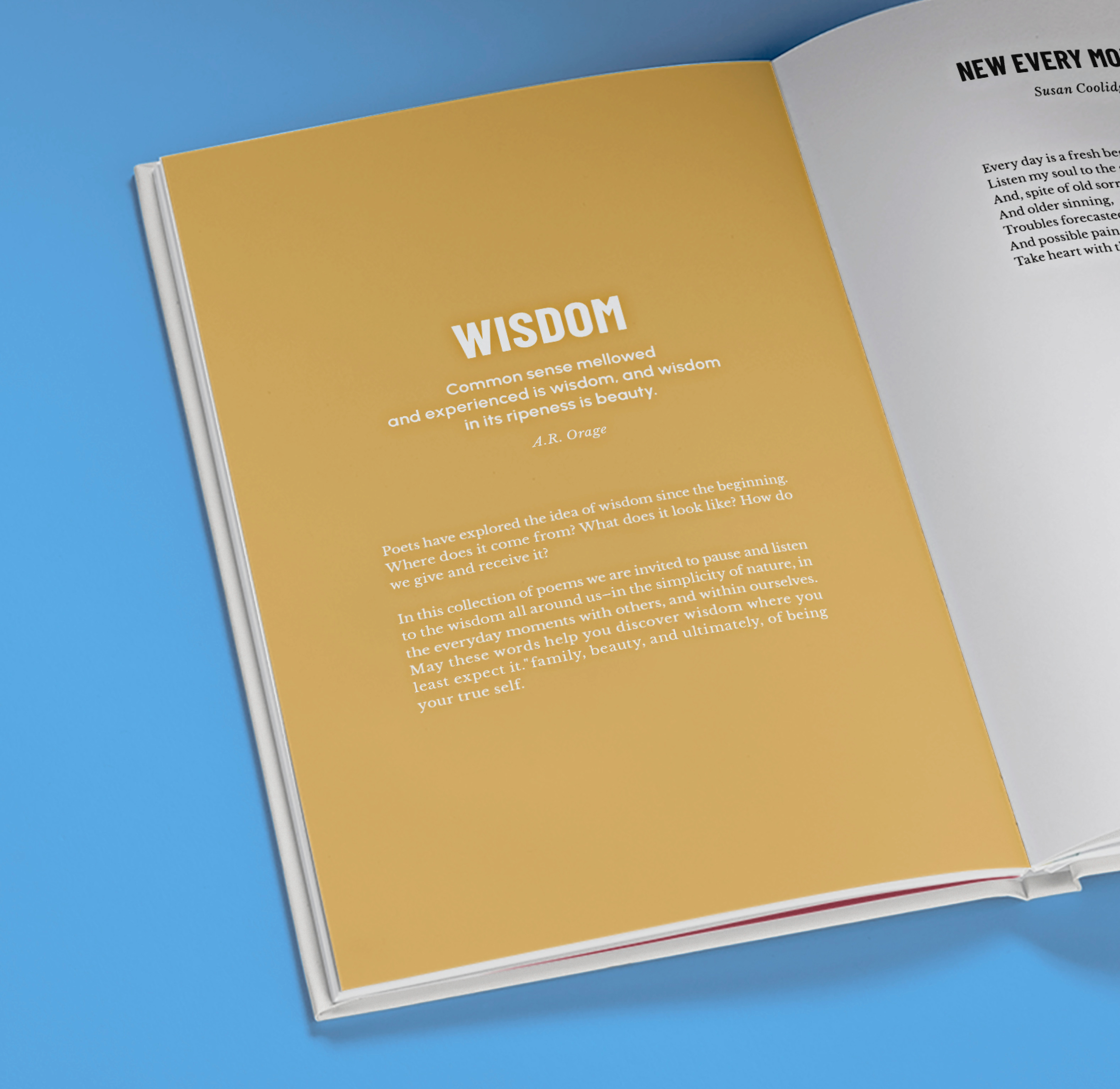 Carousel thumbail #2