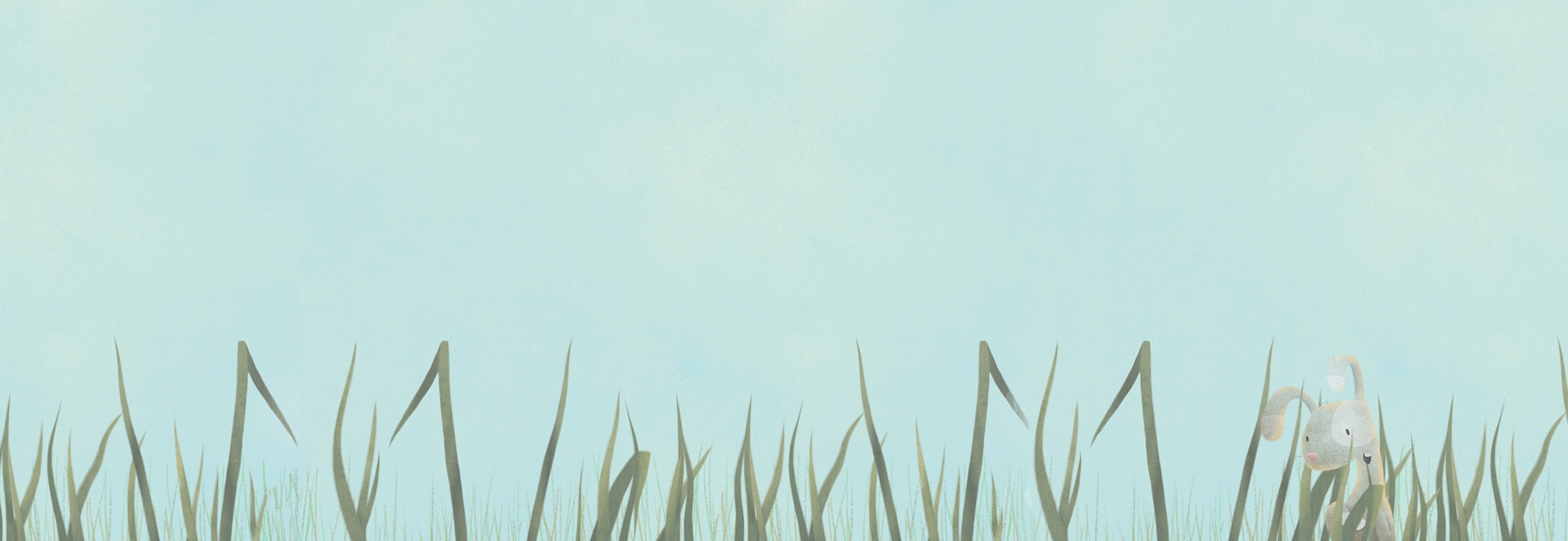 Background Image for terms and conditions