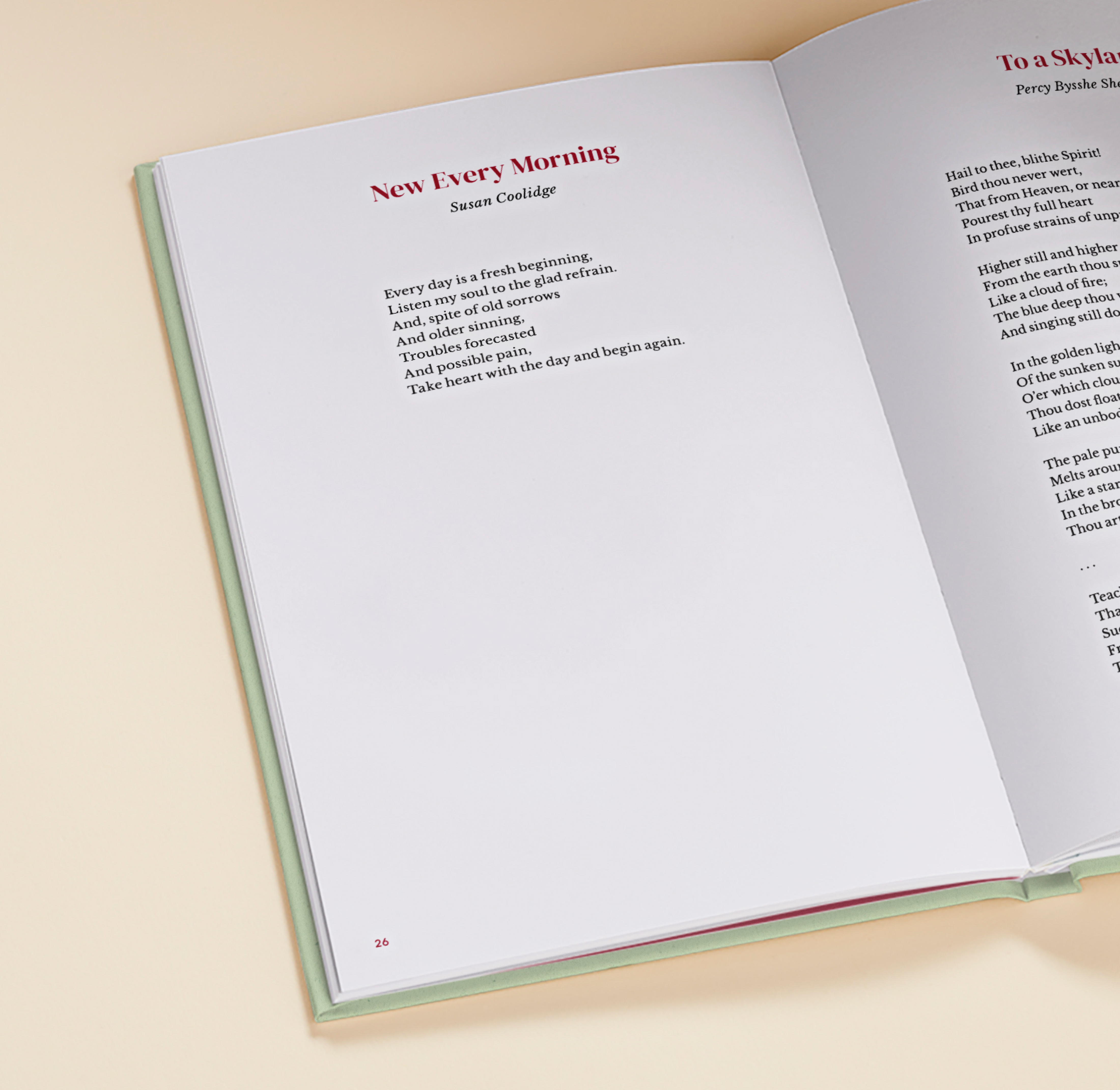 Carousel thumbail #3