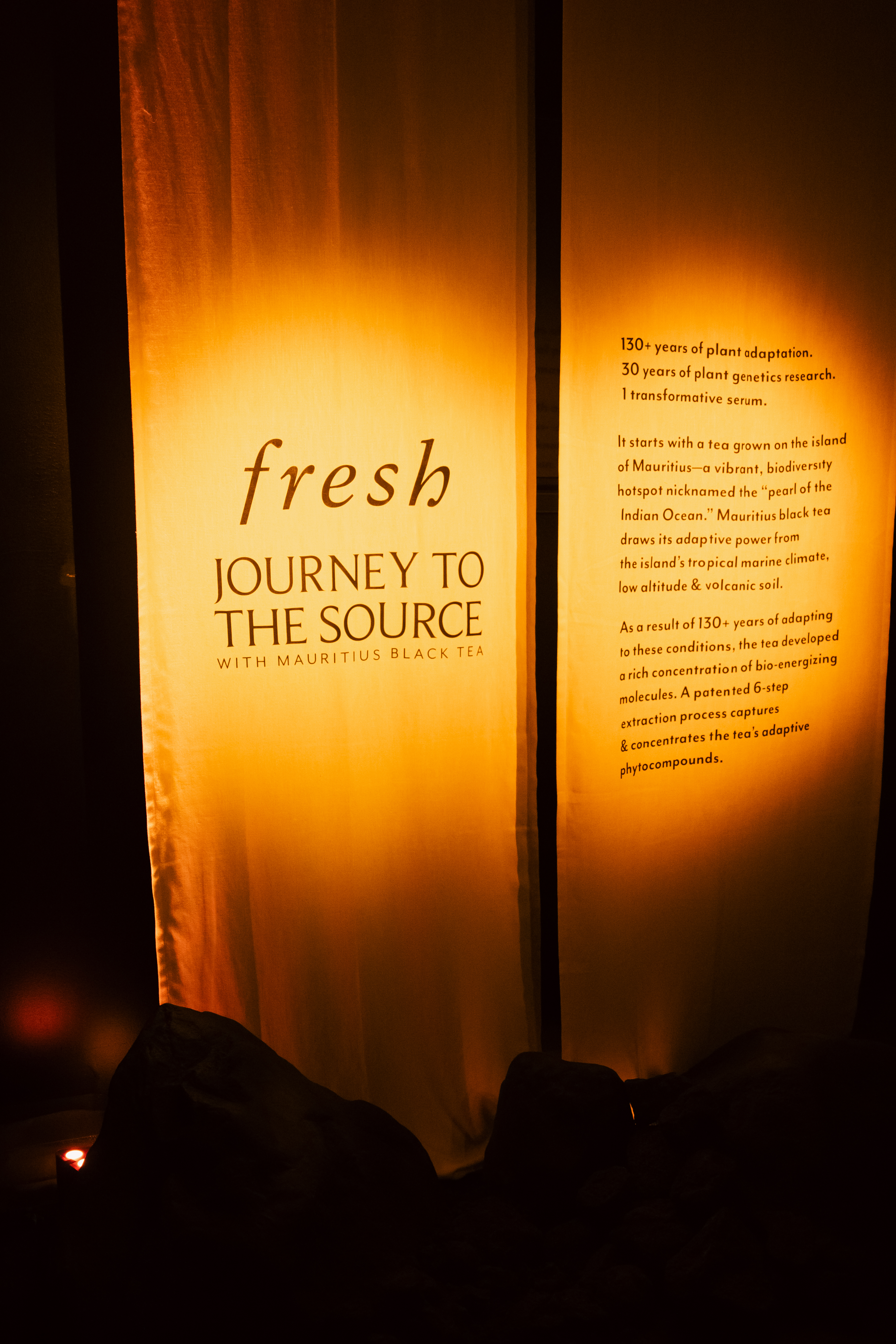 Image description not provided