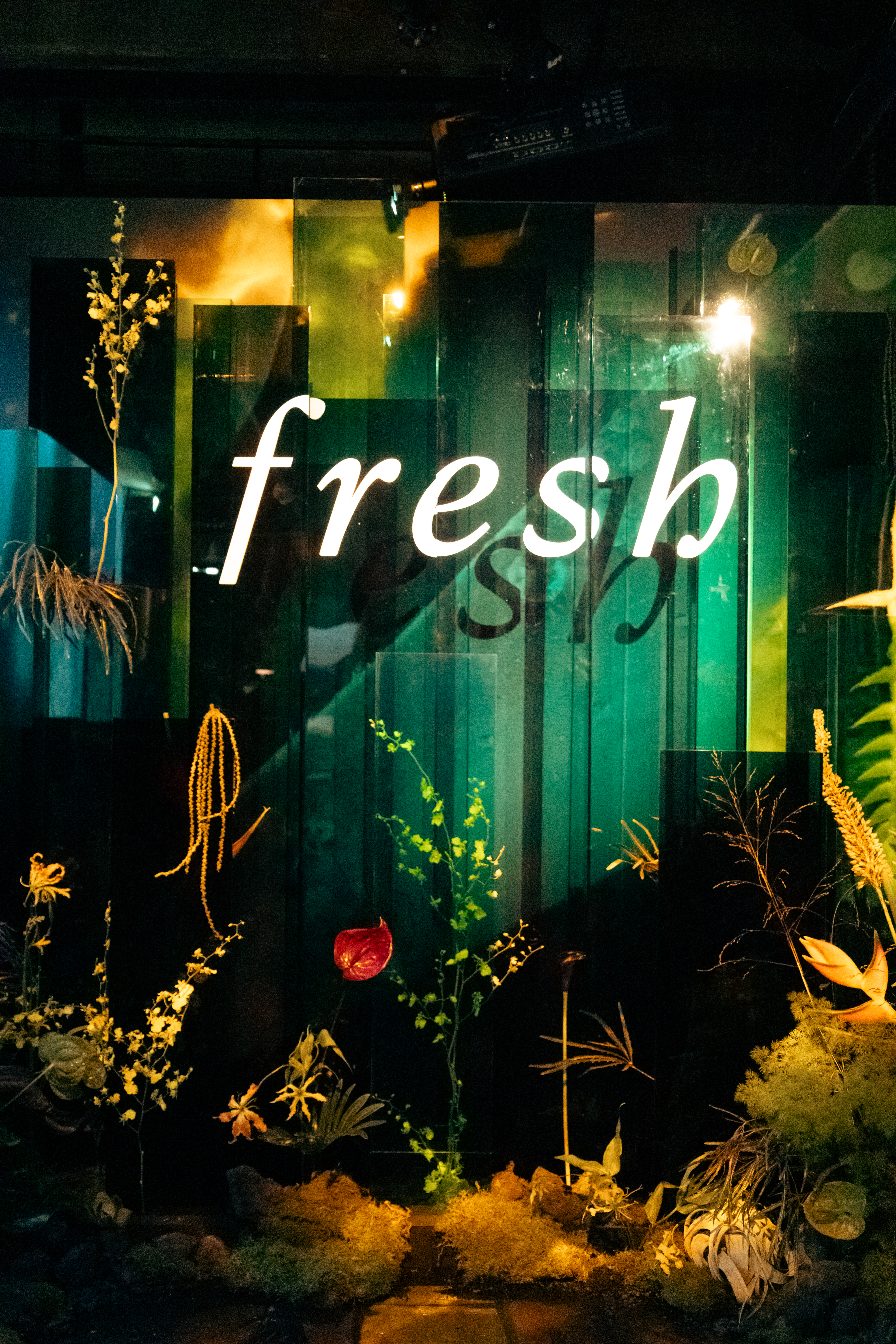 Image description not provided