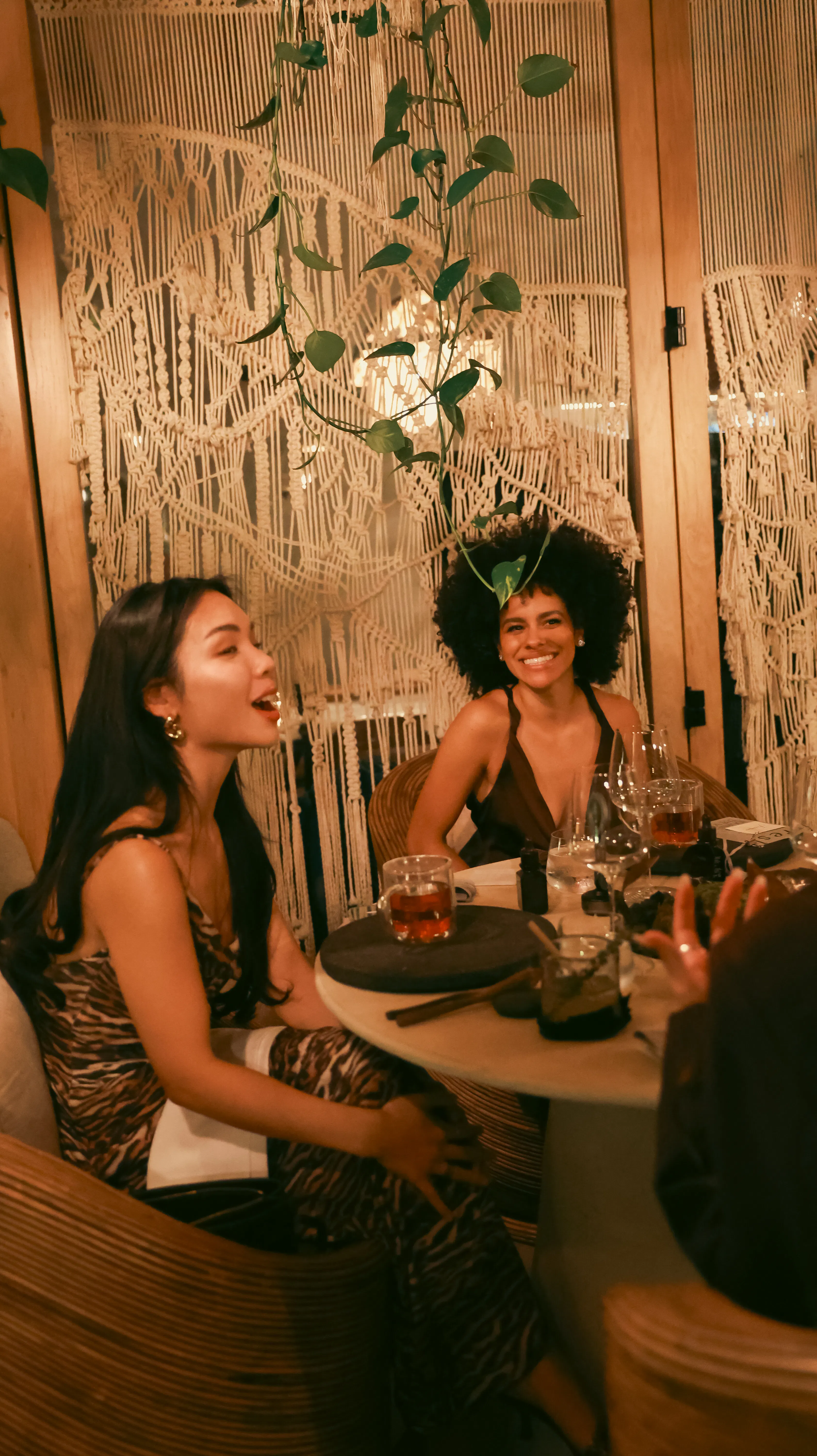 fresh Black Tea Serum Launch