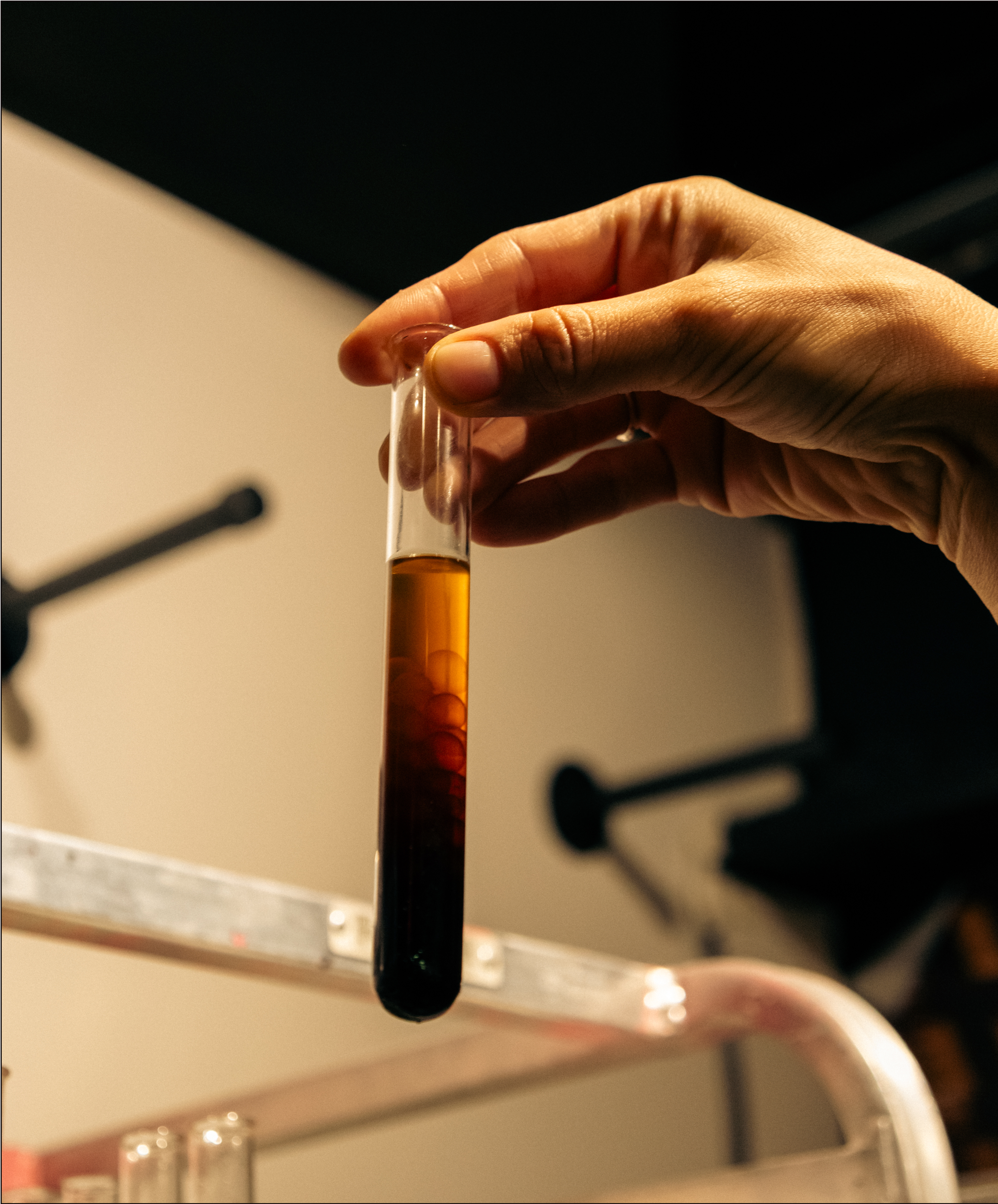 Image description not provided