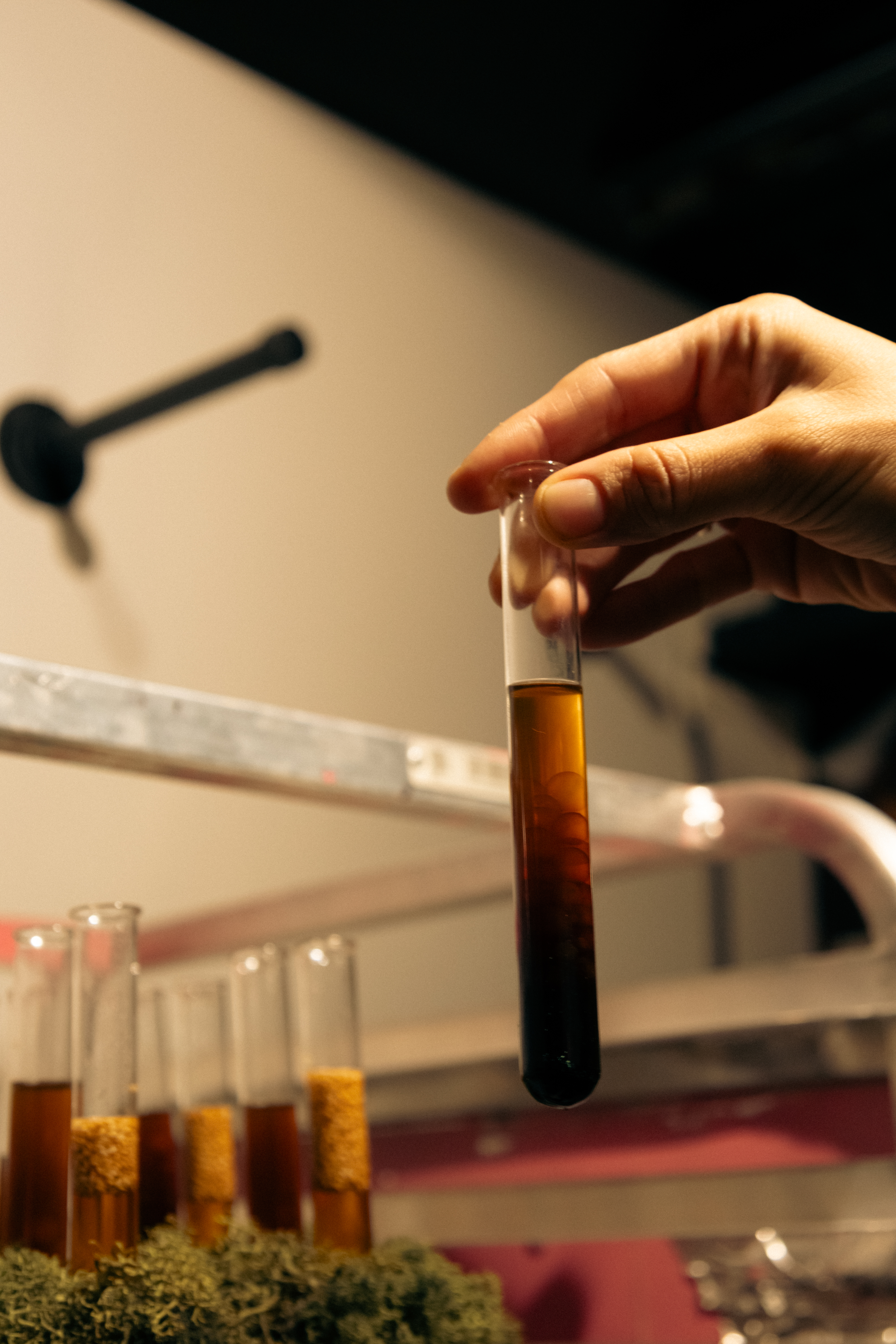 Image description not provided