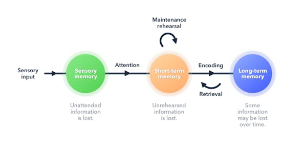 Why teachers need to understand how memory works